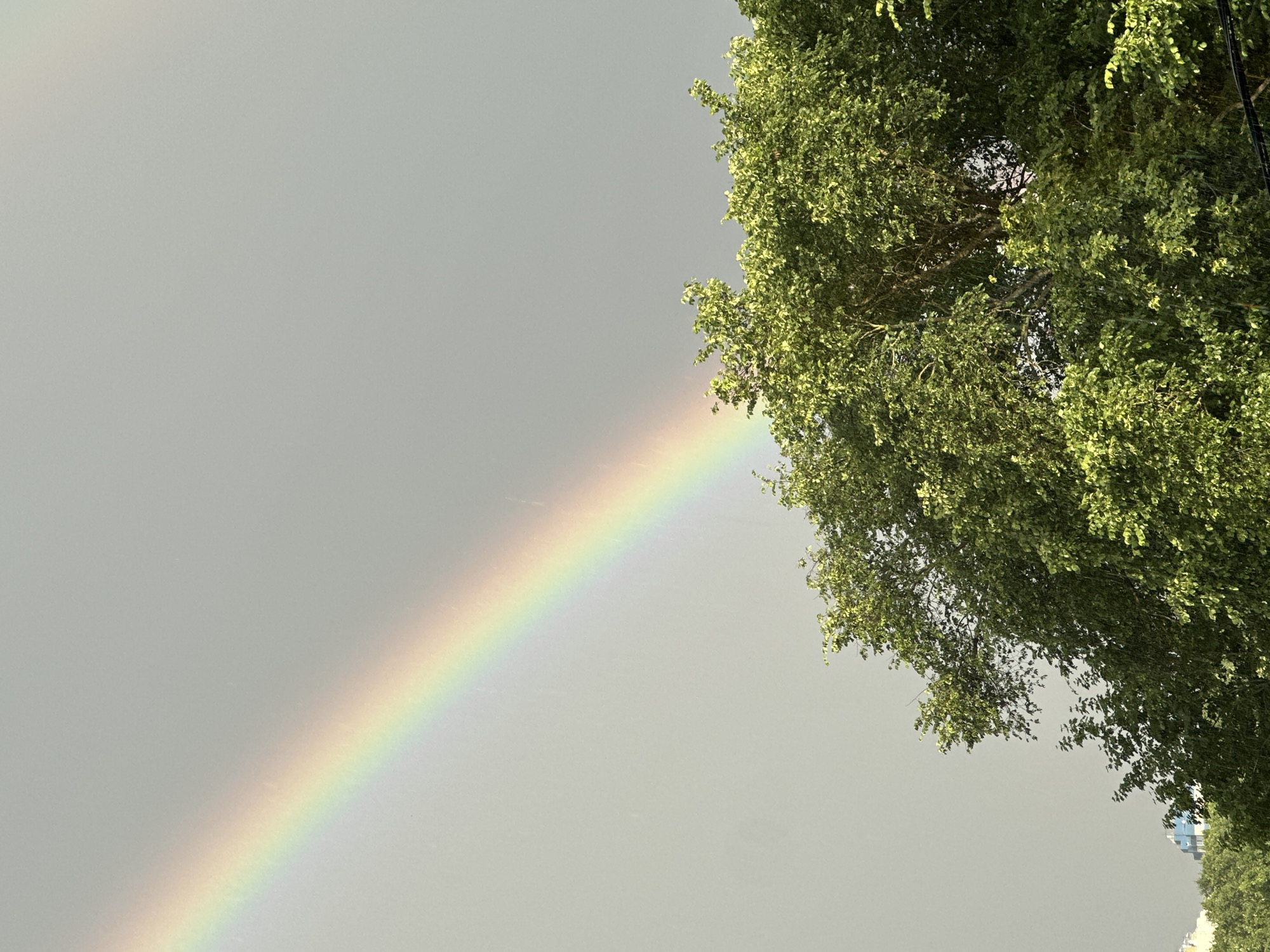 This is a photograph taken from a low angle, looking up at a tree with lush green leaves against a cloudy grey sky. A vibrant rainbow stretches diagonally across the sky from the bottom left to the mid-right of the frame. The top right portion of the image is dominated by the dense foliage of a large tree, its leaves illuminated by soft light, suggesting it is daytime. The rainbow's colors are distinct, appearing as bands of red, orange, yellow, green, blue, and violet. The overall mood is serene and natural, possibly captured after a rain shower, given the presence of the rainbow. The location is specified as Nizhny Novgorod, Russia. No people or text are visible in the image.