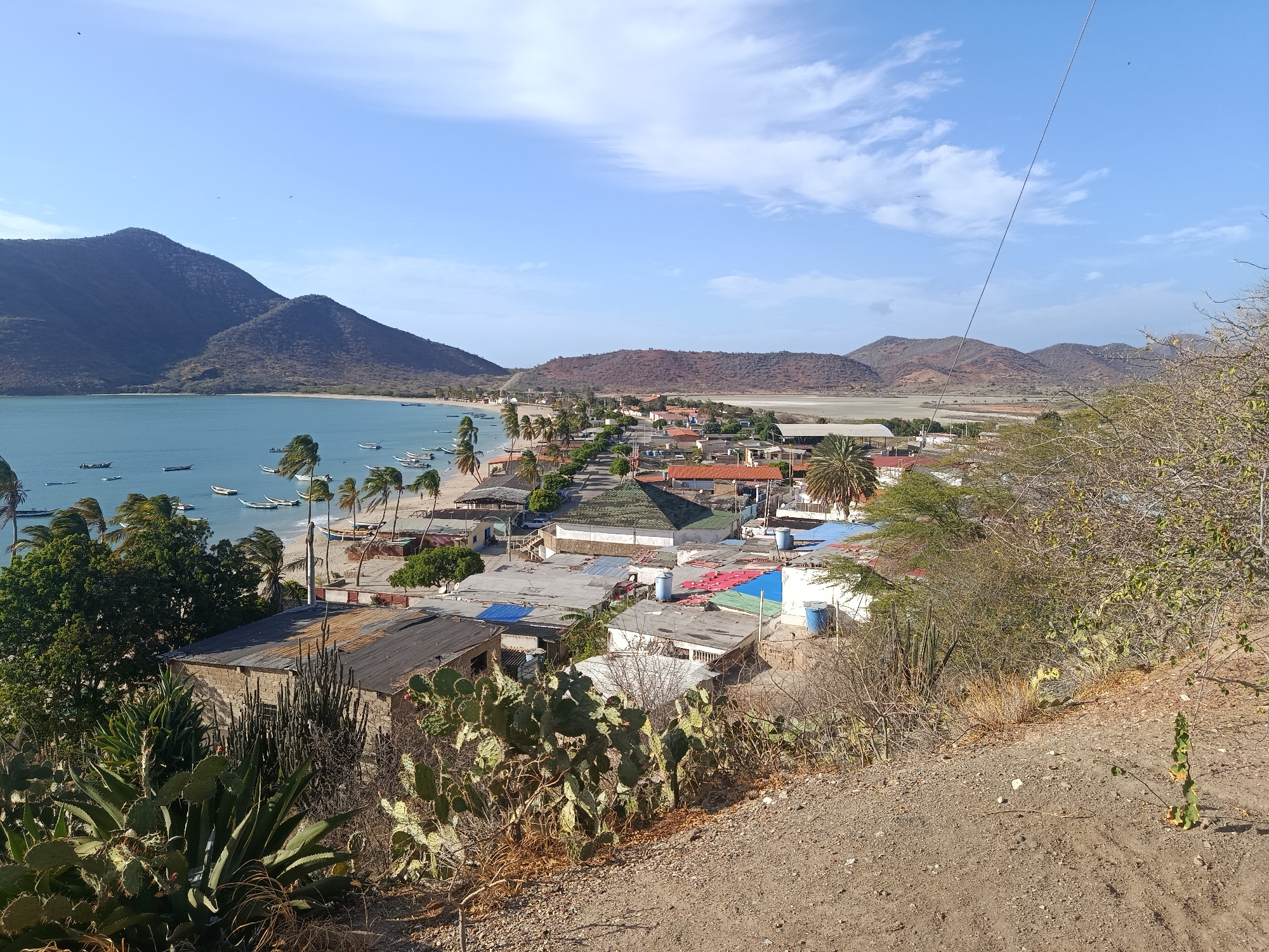 The image presents a high-angle view of a coastal area in Juan Griego, Venezuela, with a mix of natural and built environments. In the foreground, there are cacti and dry vegetation, typical of arid climates. The middle ground shows a densely populated town, with buildings ranging from simple houses to larger structures with corrugated metal and tiled roofs. A notable building has a green, pyramidal roof. Palm trees are scattered throughout the town, leading to a sandy beach along the coast. Boats are anchored in the turquoise water. In the background, hills or low mountains frame the town, with some evidence of arid, sparsely vegetated landscapes extending inland. The sky is blue with scattered clouds, indicating a clear day. There are no people visible in the image.