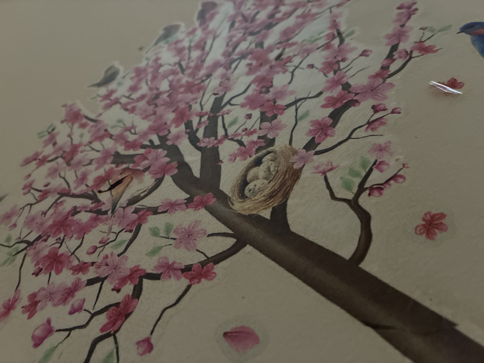 The image depicts a close-up of a decorative wall mural or decal featuring a stylized cherry blossom tree. The tree has dark brown branches adorned with numerous pink blossoms and a few green leaves. A small nest, woven from straw-like material, is visible on one of the branches, containing what appear to be three light-colored eggs or chicks. A single pink petal is depicted as a separate decal to the left of the tree. Further down, near the bottom right, a portion of a blue bird, likely another decal, is visible. The background is a neutral, light beige color, suggesting it is a wall. The image is taken from a slightly upward angle, with the branches of the tree extending across the frame. There is no visible indication or context within the image to place it in Radievo, Bulgaria, or any other specific city.