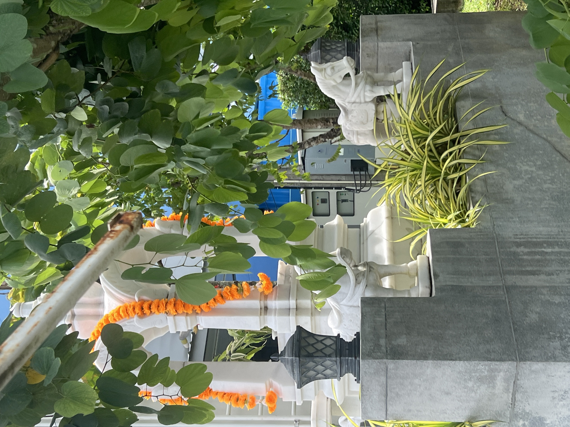 The image depicts an outdoor scene in Pa Khlok, Thailand, focusing on decorative elements of what appears to be a building or structure. A white, ornate structure with arched openings is adorned with strands of orange marigold garlands. In the foreground, a dark grey, hexagonal lantern sits on a grey stone pedestal. To the right of the lantern, a white stone sculpture of a horse in a standing pose is visible, also on a grey stone base. Behind the horse, another dark grey lantern is partially obscured by greenery. Lush green foliage, likely from a tree, drapes over the scene from the top. In the background, a bright blue structure is visible, along with some electrical equipment and other vegetation. The ground is covered with grey stone paving.