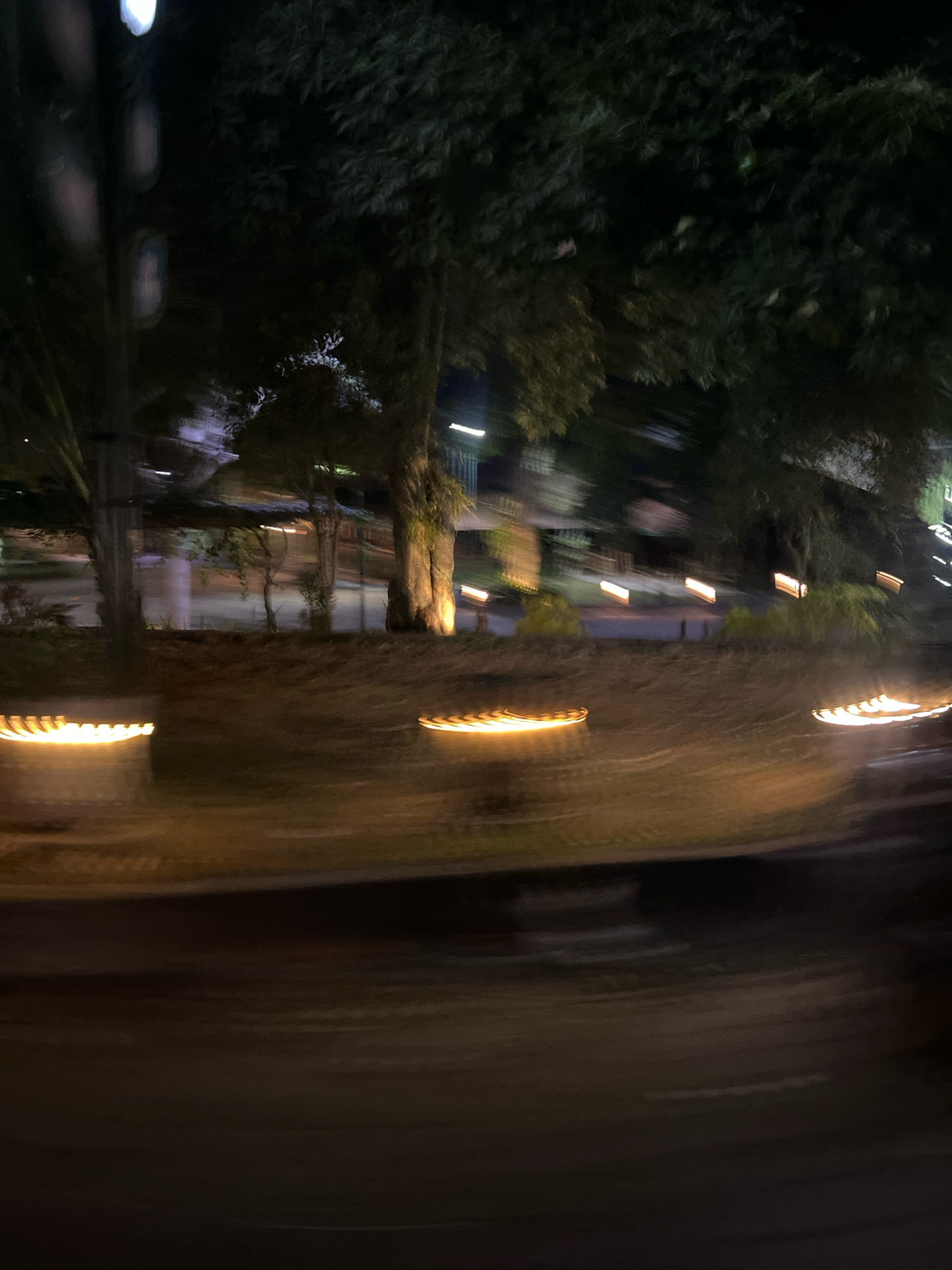 The image depicts a nighttime scene in the city of Tempel, Indonesia. The view is from a moving vehicle, as indicated by the motion blur throughout the photograph. In the foreground, there are several circular light fixtures emitting a warm, yellow glow, their light streaked due to the movement. Behind these lights, a dark, sloped area with some vegetation is visible. Further back, trees with dark foliage dominate the upper portion of the frame. Some of these trees are illuminated from below by spotlights, creating a warm, yellow light that casts shadows and highlights their trunks and branches. In the distance, other smaller lights are visible, suggesting a built-up area or streetlights. The overall impression is one of an urban park or streetscape at night, with artificial lighting illuminating the natural elements.