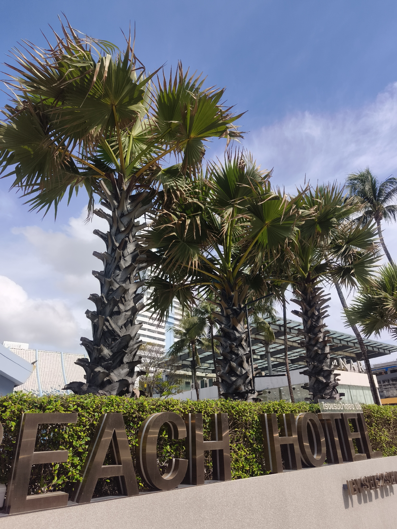 In Patong, Thailand, a frontal view captures a landscaped area in front of a hotel. Large, metallic letters spelling "BEACH HOTEL" are positioned prominently in the foreground, standing against a backdrop of lush green bushes. Behind the bushes and lettering, several palm trees with their characteristic rough bark and fan-shaped fronds dominate the scene, reaching towards a bright blue sky dotted with scattered white clouds. In the mid-ground, a modern building with a glass roof structure and several stories is visible, hinting at the hotel's architecture. The overall impression is one of a tropical, coastal resort setting.