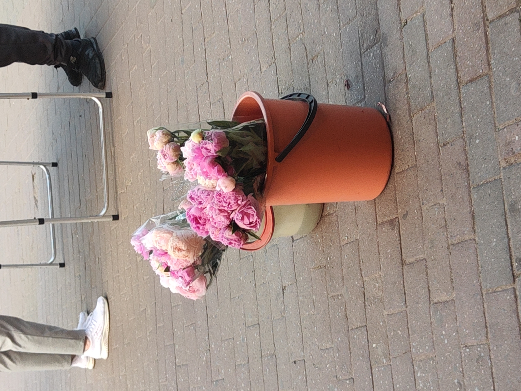 The image shows a close-up view of two bouquets of pink and white peonies placed in an orange bucket. The bucket, which has a black handle, is positioned on a paved sidewalk made of grey rectangular bricks. In the foreground, to the left, a person's legs are visible, wearing grey pants and white sneakers. Further up and to the left, another person's legs are visible, wearing dark pants and black boots. The scene appears to be outdoors, possibly in a market or street setting, given the presence of flowers and the paving. The lighting suggests it is daytime, with sunlight casting shadows. The overall impression is one of a vendor or someone preparing to sell or transport flowers. There is no visible text in the image. The location context provided indicates this scene is in Saint Petersburg, Russia.