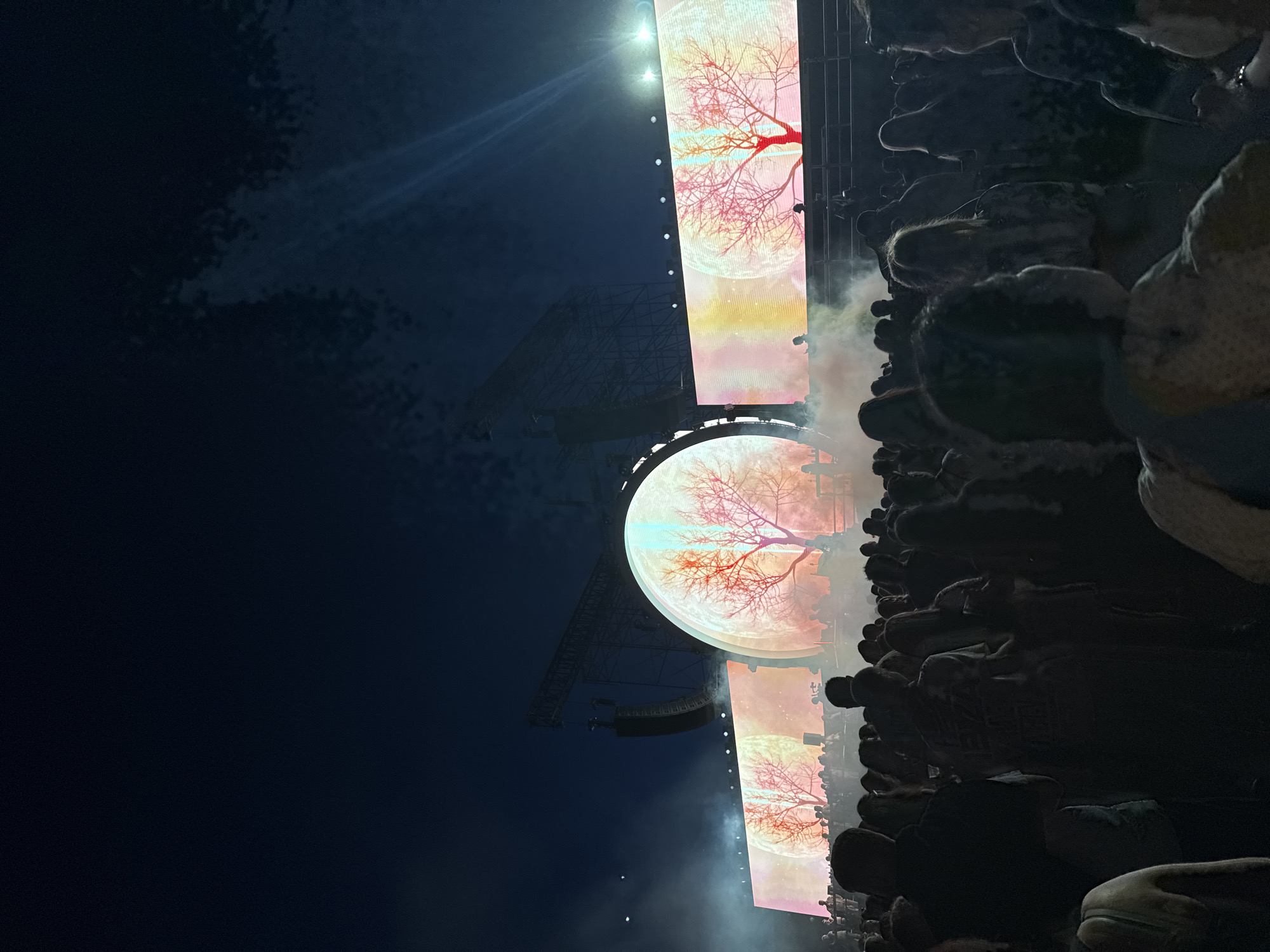 The image depicts a nighttime outdoor concert in Sofia, Bulgaria, likely at the National Stadium "Vasil Levski". A large crowd of spectators is visible in the foreground, silhouetted against the stage. The stage features a massive circular screen and a rectangular screen, both displaying a stylized image of a bare, pink-hued tree against a moon-like backdrop with colorful, abstract gradients. Smoke or fog machines are actively producing mist that drifts across the stage and over the audience. In the background, the skeletal structure of a large stage rig is illuminated by spotlights. The overall atmosphere suggests a vibrant and immersive live music event.