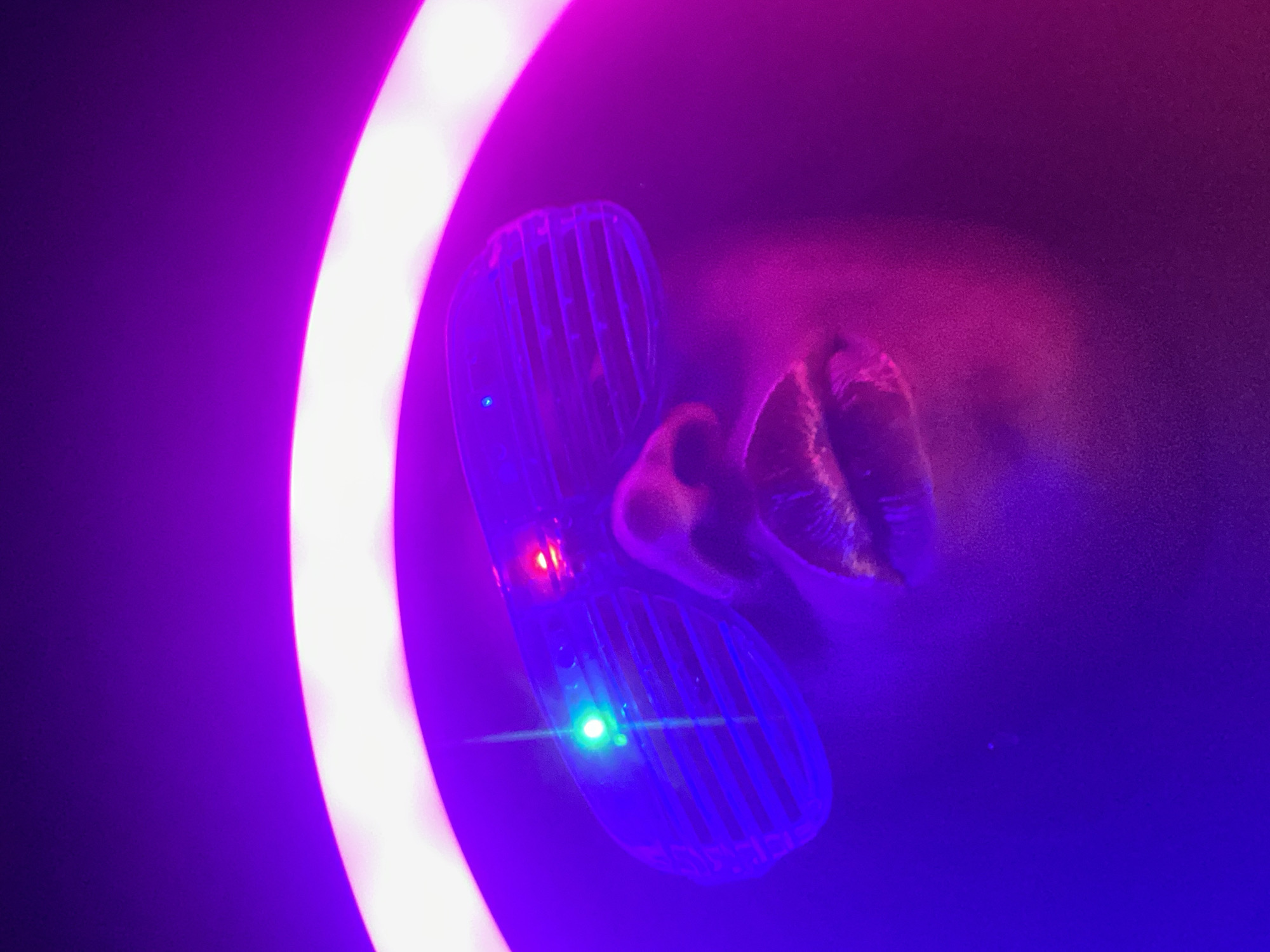 The image depicts a person's face wearing futuristic sunglasses under neon lighting. The left side of the face and sunglasses are bathed in blue light, while the right side is illuminated by pink light. The sunglasses have a slatted design and feature small red and green lights on the left lens. The background is dark, with a round neon light source in the upper left corner. The image suggests a contemporary, possibly nightlife, setting. The location in the city of Maigizo, Nigeria is not discernible from the image.
