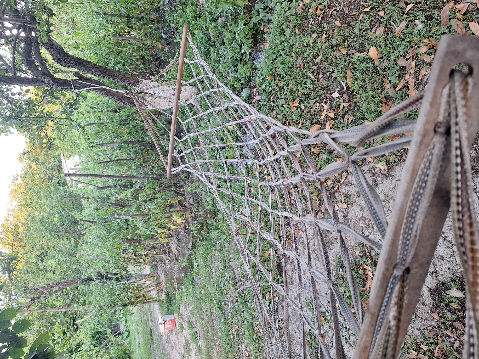 This image depicts a hammock strung between two trees in a garden setting, likely in Nabran, Azerbaijan. The hammock itself is made of woven rope and has wooden spreader bars. It is suspended amidst lush green foliage and appears to be in use, as indicated by its slightly sagging form. Surrounding the hammock are various plants, including what appear to be tomato plants supported by wooden stakes. Fallen leaves are scattered on the ground, suggesting an autumn or late summer season. In the background, a white fence and more trees are visible, contributing to the natural, outdoor ambiance. The scene evokes a sense of relaxation and tranquility.