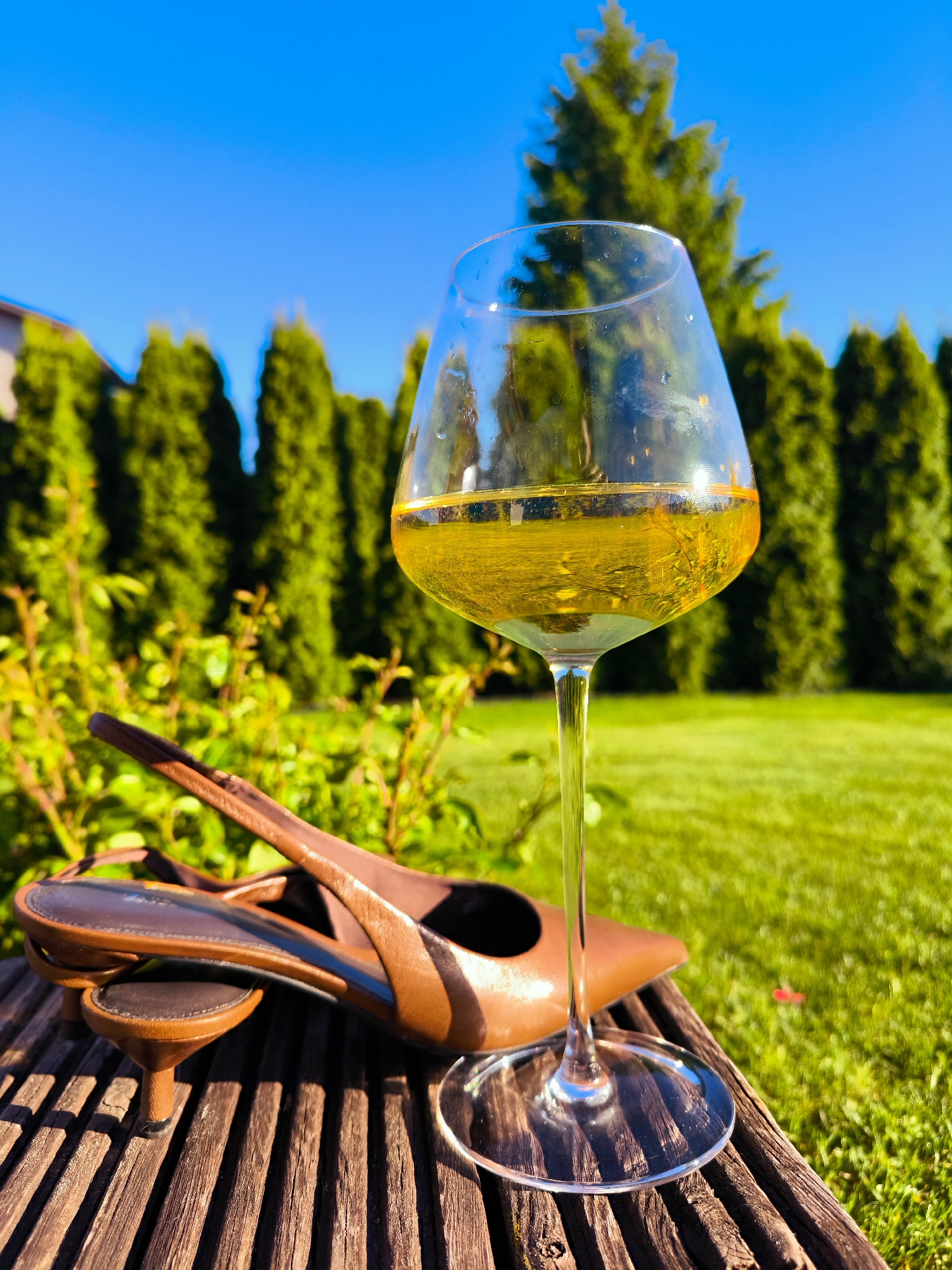 A full wine glass and a pair of brown slingback heels sit on a weathered wooden surface outdoors. The background consists of a lawn with manicured evergreen trees under a clear blue sky. The location appears to be a residential yard.