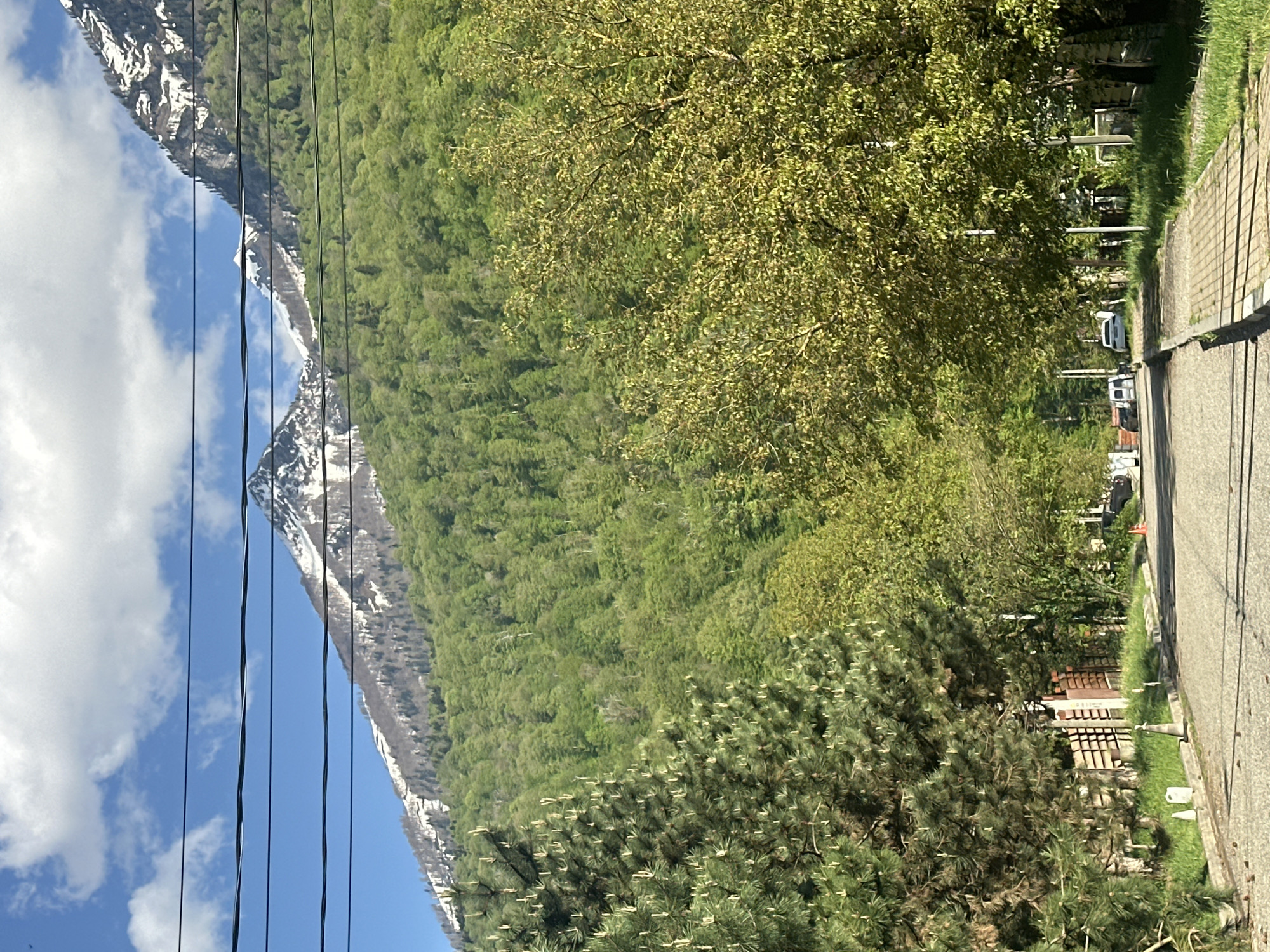 The image captures a view in Krasnaya Polyana, Russia. A snow-capped mountain partially obscured by power lines is on the left side of the image. The middle ground features dense green forestation transitioning into tree-lined streets. A grey asphalt road runs along the right side, with glimpses of parked vehicles. On the side of the road are fence lines and what appears to be a cemetery. The sky above the mountain is blue, partially covered by clouds.