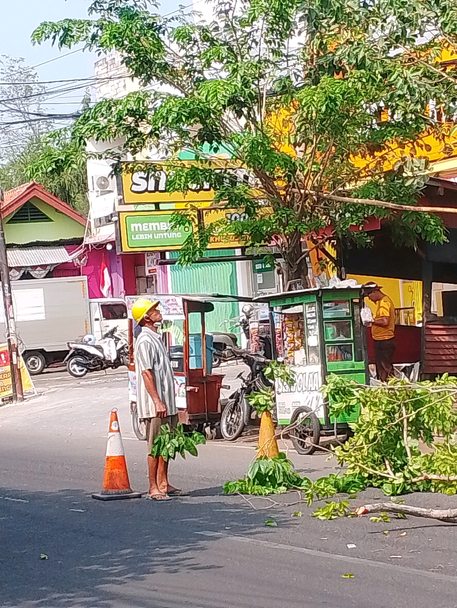 The image depicts a street scene in Probolinggo, Indonesia, likely during daylight. A man wearing a yellow hard hat and a striped shirt stands in the middle of the road, holding a bundle of leafy branches. He is barefoot, wearing shorts, and appears to be looking upwards. An orange traffic cone is positioned in front of him. Behind him, to his right, is a food cart with green panels and various items displayed. Further to the right, another person in a yellow shirt and dark pants is standing near the food cart, holding a white plastic bag. In the background, a white truck is parked, with a motorcycle in front of it. Several trees with green foliage are visible, some of which have branches that have fallen onto the road, suggesting recent pruning or storm damage. Buildings with colorful facades, including signs with Indonesian text, are also present. The overall impression is a busy urban street with commercial activity and recent evidence of tree maintenance.