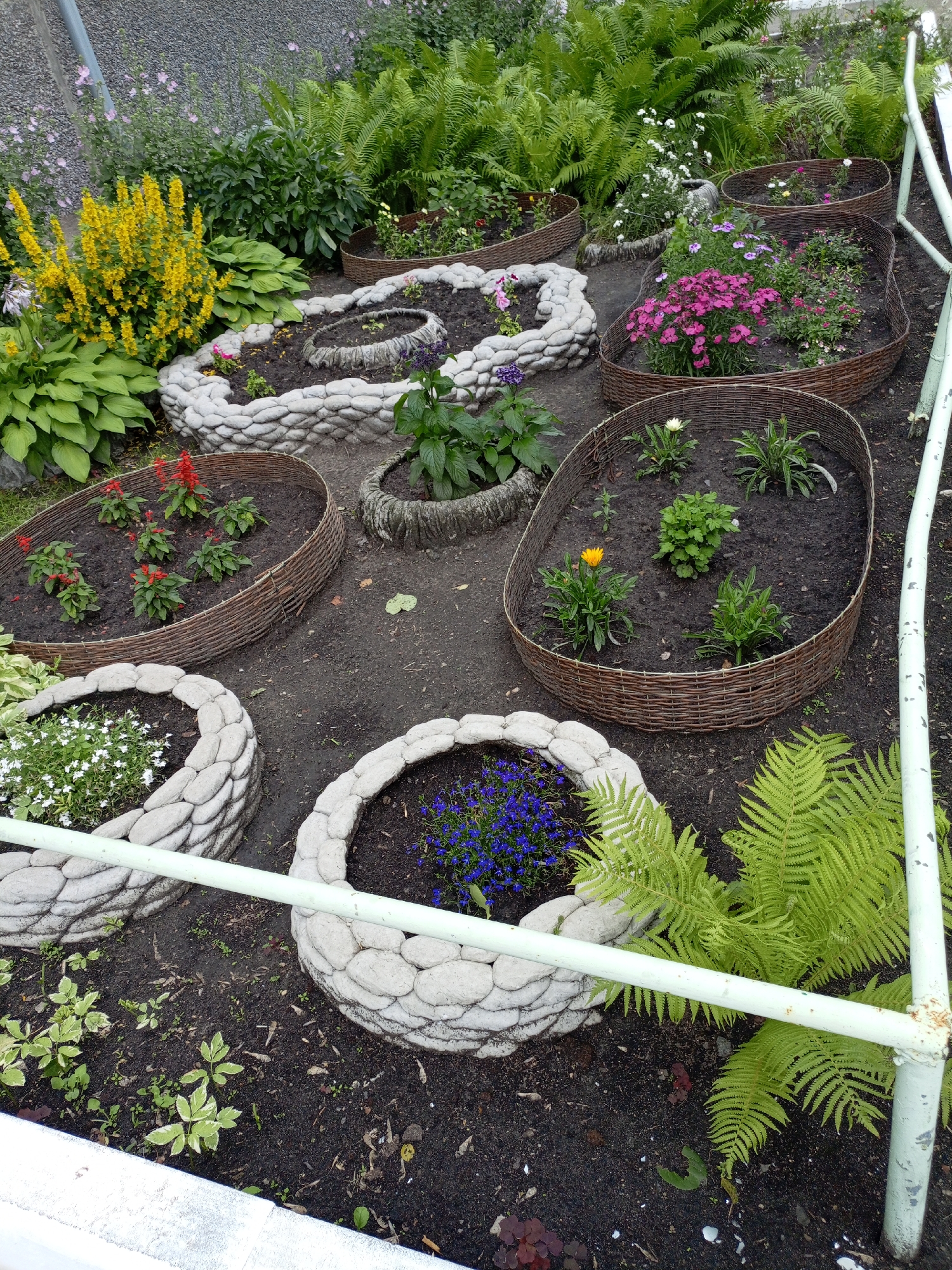 This media file is a high-angle, full shot of a garden bed filled with various flowers and plants. The scene is outdoors, with a focus on the floral arrangements. The garden features several distinct planters, some made of woven material and others constructed from rounded stones, creating a decorative border.
In the planters, a variety of flowers are visible. There are bright yellow flowers blooming profusely, clusters of pink and purple flowers, red flowers, white flowers, and blue flowers. Ferns are also present, adding a lush green element to the garden. The ground is covered in dark soil, with some fallen leaves scattered about. A light green metal railing runs across the foreground, suggesting a pathway or boundary.
The time of day appears to be daytime, likely overcast or a muted sun, as there are no strong shadows. The weather seems to be calm and possibly damp, given the dark soil. The location context provided is Shadrinsk, Russia, which places this garden in a temperate climate. There is no visible text in the image. The overall impression is a well-maintained, decorative garden, likely a public space or a private residence's outdoor area, designed to showcase a colorful array of plant life.