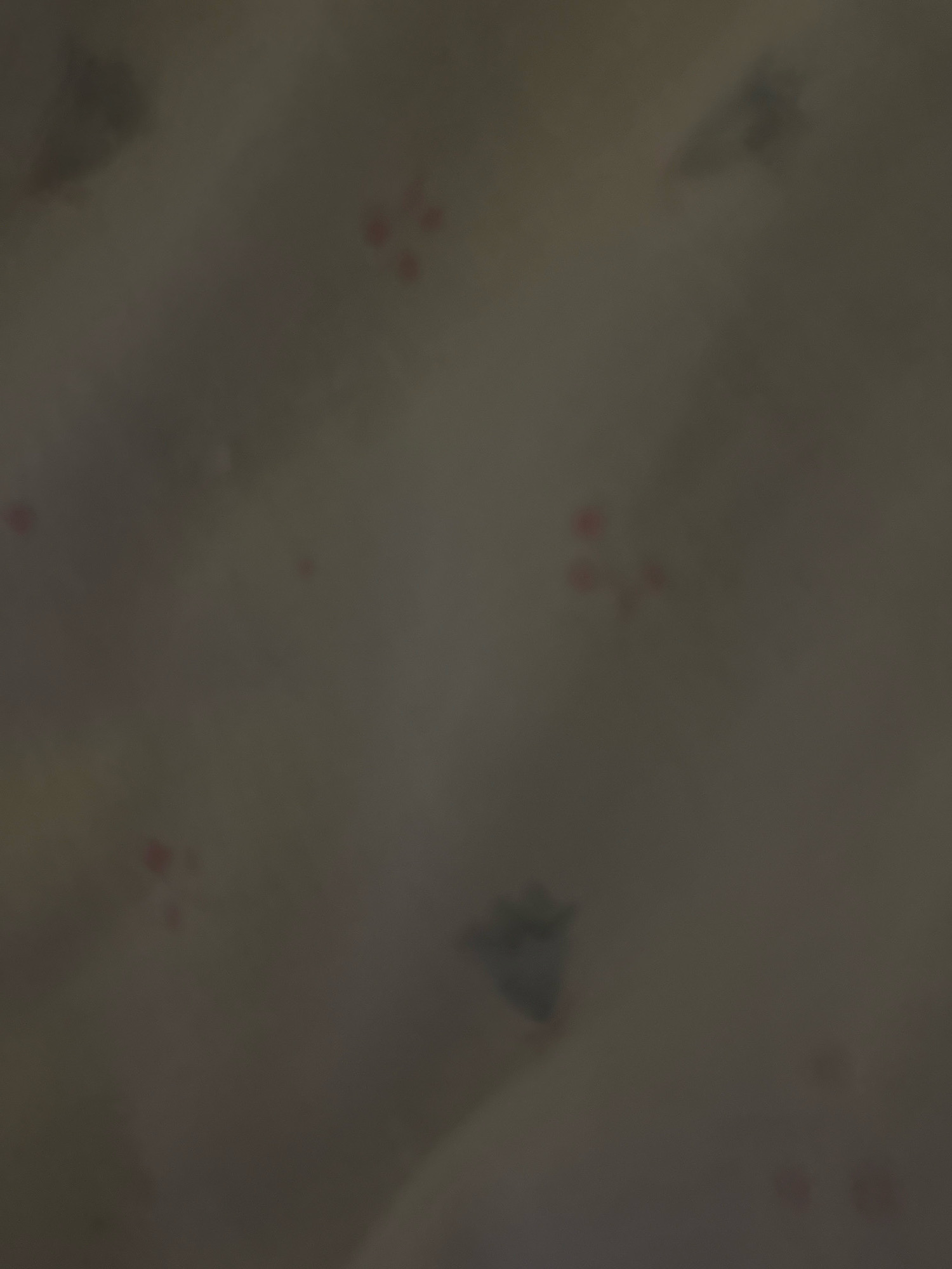 The image depicts a close-up, abstract view of a surface with a patterned texture. The dominant colors are muted grays and browns, with occasional small, scattered red dots. There are also some indistinct, dark, amorphous shapes that appear to be part of the pattern. The lighting is dim and diffused, contributing to the overall hazy and somewhat blurred appearance. There is no discernible information in the image that can be used to identify its location in Zavolzhye, Russia, or any specific details about people, objects, or actions.
