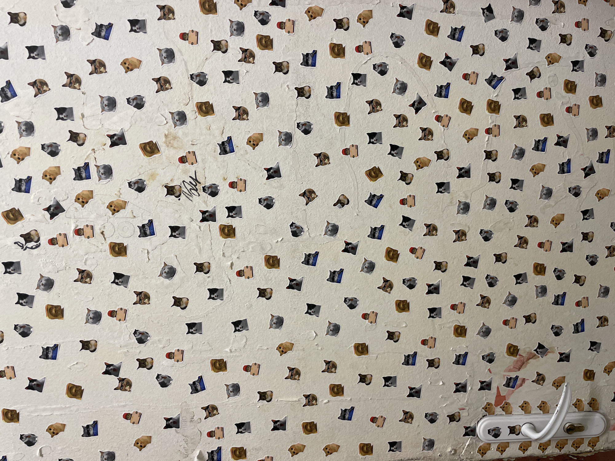 The image shows a wall covered with numerous small stickers. The stickers depict cat faces, slices of bread, and miniature figures in red fezzes. The wall itself is white with a rough, peeling texture, suggesting it is old or poorly maintained. Stains and smudges are visible on the wall. In the lower right corner is a white door handle. The location is presumed to be in Sofia, Bulgaria, but no specific information on the location is apparent in the image. There are no people visible in the image.