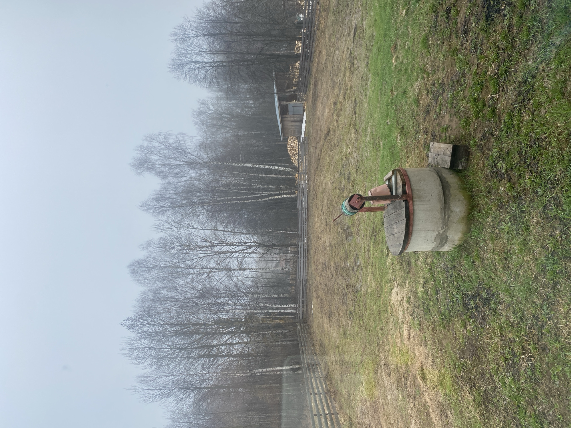 The image shows a rural scene in Zhigalki, Russia on a foggy day. A concrete well with a metal frame and wooden cover is located in a grassy area, with a wooden block beside it. Beyond the well, a wooden fence runs along the edge of a wooded area with bare trees. A small wooden building is visible in the distance, with a pile of firewood next to it. The overall scene is overcast and muted.