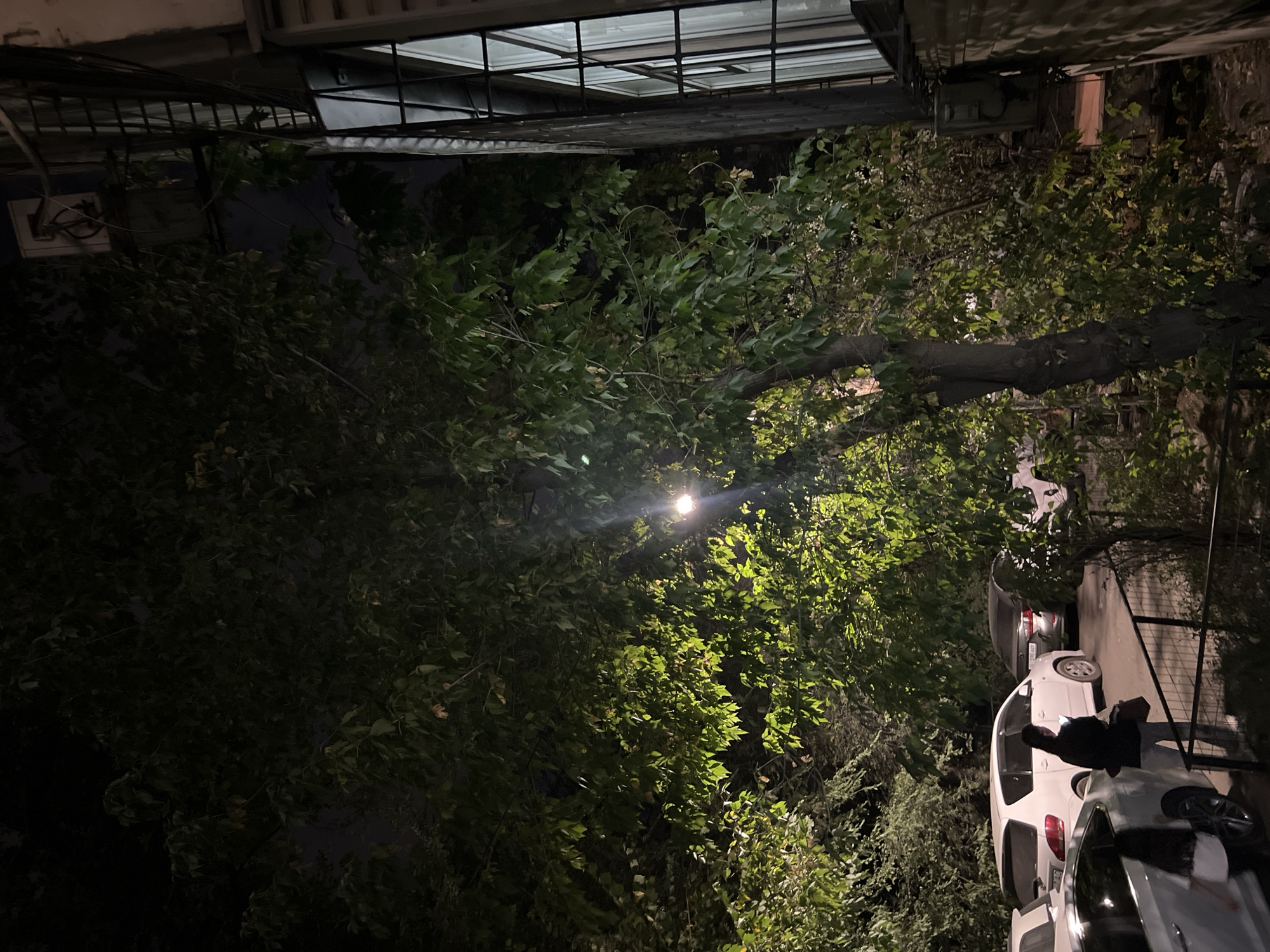 A night time scene captures a street with parked cars and a woman standing by one of them, illuminated by a nearby streetlight. In the foreground, a chain-link fence separates the viewer from the parking area. Several vehicles are visible, including a white minivan and a darker sedan. A person, identified as a woman, stands with her back to the camera, looking down at a mobile phone. She is wearing a dark top and light-colored pants, and carrying a purse. The background is dominated by a large tree with dense foliage, its leaves catching the light. To the right, a building with a window protected by a metal grate is visible, along with what appears to be an air conditioning unit mounted on the exterior wall. The overall impression is a residential street in the city of Bishkek, Kyrgyzstan, under artificial lighting at night.