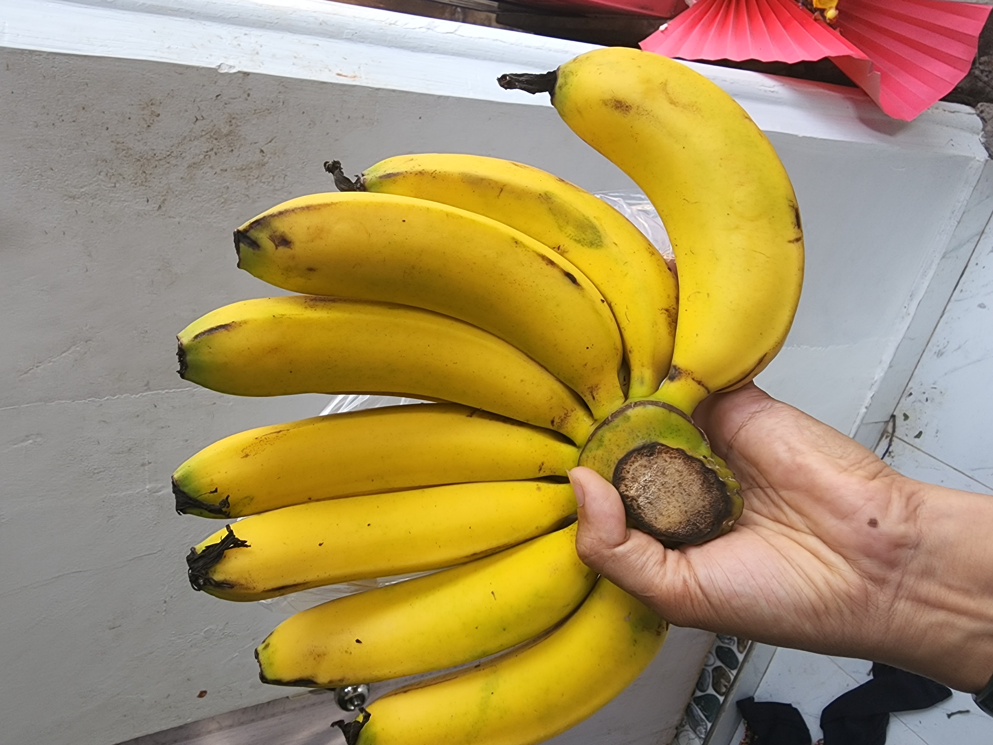 In Phan Thiet Ward, Vietnam, a close-up shot captures a bunch of ripe yellow bananas held by a person's hand. The bananas are partially covered by a clear plastic bag, and their stems are dark and slightly shriveled. The hand, with its visible veins and a small dark mark on the palm, is positioned around the core of the banana bunch. The background shows a textured wall, possibly concrete, and hints of a tiled floor. A bright pink pleated object is visible on the right side of the frame. The lighting suggests an outdoor or well-lit indoor environment.