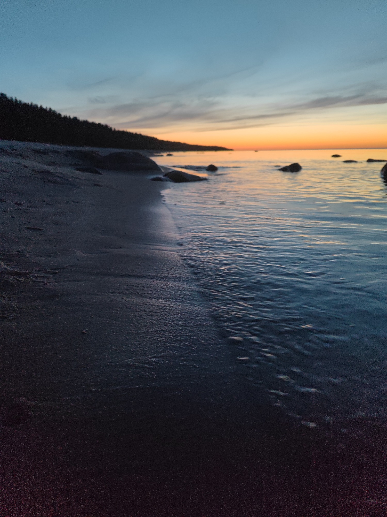 An extreme low-angle, portrait-oriented shot captures a tranquil shoreline scene at dusk on the Gulf of Finland in Motornoe, Russia. The foreground is dominated by dark, wet sand, with subtle ripples and textures indicating the receding tide. A thin line of foamy water gently laps at the shore. In the middle ground, several dark, smooth rocks are scattered along the water's edge and submerged in the shallow water. The water itself reflects the soft hues of the sky, appearing calm with gentle waves.
The background features a silhouetted forest line along the horizon, suggesting a wooded coast. Above the forest, the sky transitions from a deep, muted blue at the top to a warm gradient of orange and yellow near the horizon, indicative of the setting or rising sun. Thin, wispy clouds are scattered across the sky, catching the fading light. The overall atmosphere is one of peaceful serenity. There are no people or animals visible in the frame.