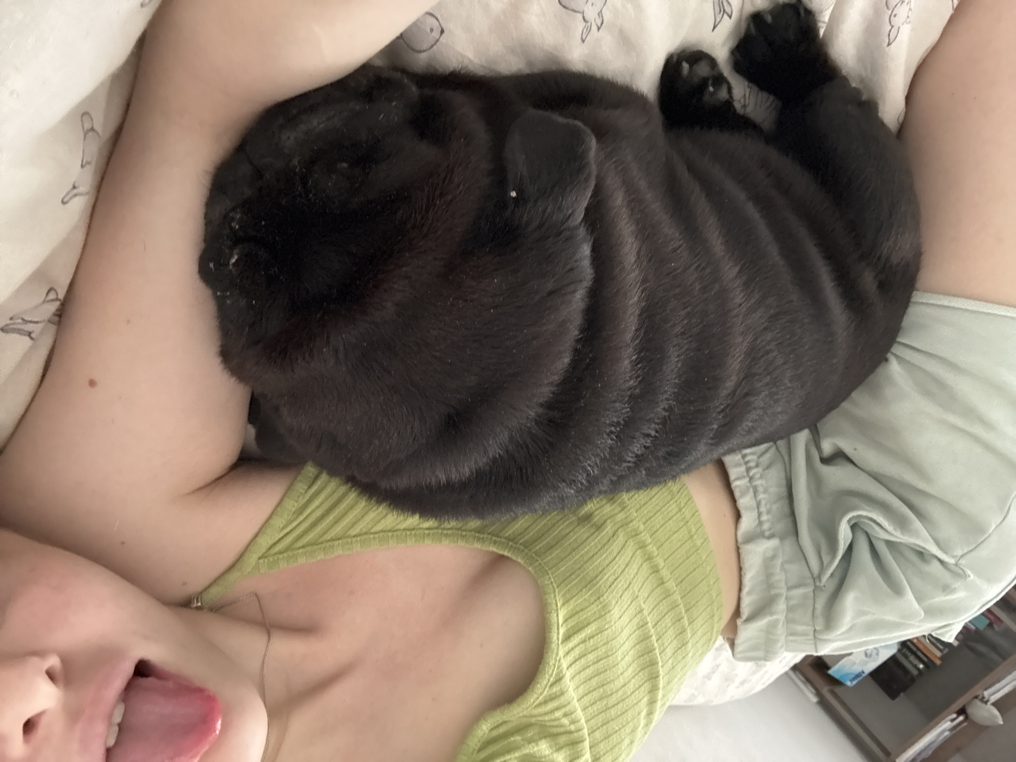 A person, partially visible and wearing a green ribbed top and light blue shorts, is lying down with a black pug. The pug is curled up asleep on the person's chest, with its head resting on the person's arm. The person's face is partially visible, with their tongue sticking out. The scene appears to be indoors, possibly on a bed, with a bookshelf visible in the background. There is no indication of the location being in the city of Perm, Russia.