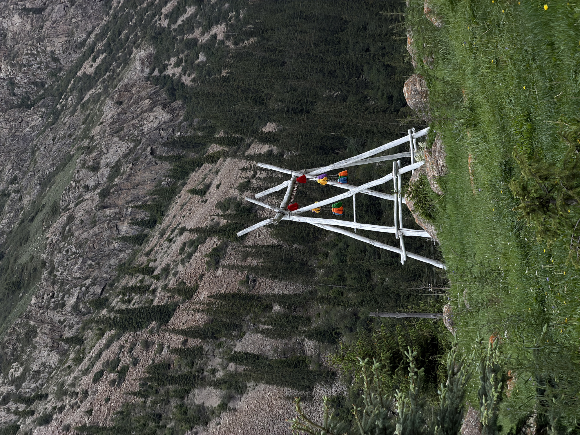 This is a medium shot, taken from a low angle, of a wooden structure decorated with colorful tassels in a mountainous landscape. The structure, made of white-painted wooden poles, resembles an A-frame or a tripod, with several horizontal pieces connecting the vertical supports. Attached to the upper part of the structure are several bundles of colorful, tasselled decorations in red, yellow, green, and purple.
The structure is situated on a grassy slope dotted with rocks of various sizes. In the foreground, on the left side of the frame, a small evergreen tree is partially visible. Behind the structure, a dense forest of dark green coniferous trees covers the lower part of a steep, rocky mountain slope. The mountain itself is characterized by its rugged terrain, with exposed rock faces, scree, and sparse vegetation. The sky is not visible in the frame, but the overall lighting suggests an overcast or cloudy day. The location is described as Unknown, Kyrgyzstan. There are no people or animals visible in the image.