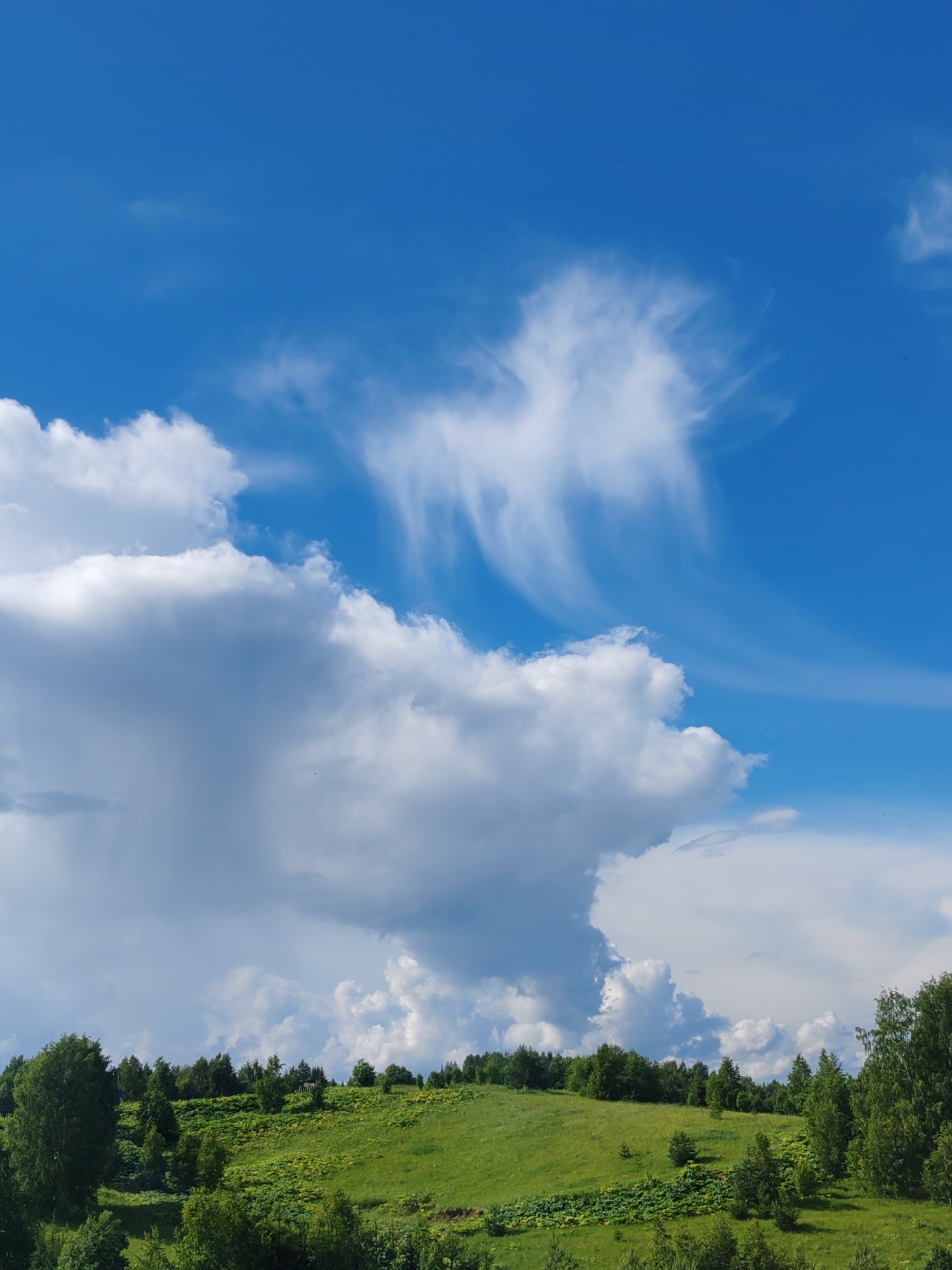 The image depicts a vibrant, sunlit landscape in Chuchelm, Russia, under a bright blue sky dotted with a mix of large, fluffy cumulus clouds and wispy cirrus formations. The foreground is dominated by a lush, green rolling hill, generously dotted with various trees and shrubs. The vegetation appears verdant and healthy, suggesting a mild climate and possibly the growth season. A patch of yellow flowers adds a splash of color to the grassy slope, enhancing the natural beauty of the scene. The terrain suggests a rural or semi-rural setting, possibly a meadow or pasture, with the trees lining the crest of the hill and scattered throughout the landscape. The time of day appears to be mid-morning or afternoon, given the bright lighting and the clear sky. The overall mood is serene and picturesque, evoking a sense of peace and natural beauty. There is no visible text in the image.