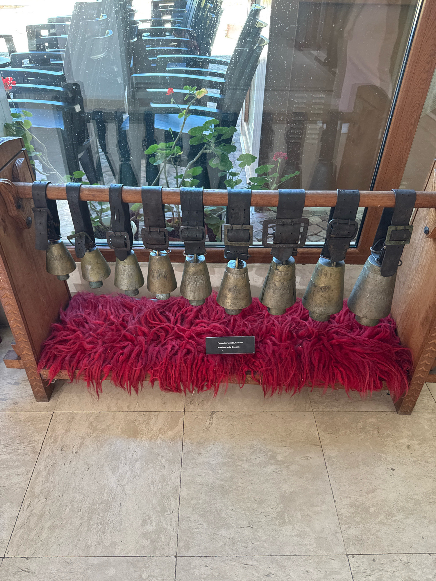This media file displays a row of seven vintage brass bells, each hanging from a dark leather strap with a buckle, suspended from a wooden rack. The bells are conical in shape and some feature intricate engraved patterns. Below the bells is a thick, shaggy mat of bright red material. To the right of the red mat, a small black plaque with white text is visible. The background shows a large window reflecting stacks of black chairs and some greenery, suggesting an indoor setting, possibly a shop or a museum exhibit. The floor is tiled with light-colored stone. The overall impression is one of historical or cultural display, with the bells likely serving a traditional purpose.
The visible text on the plaque reads:
"Pogonchu chabie, Smolyan"
"Rhodope bells, Smolyan"
This text indicates that the bells are from the Smolyan region of Bulgaria, possibly used in traditional practices like herding. The lighting suggests it is daytime, with natural light filtering in from the window. The scene is static, depicting an exhibit rather than an active event.
