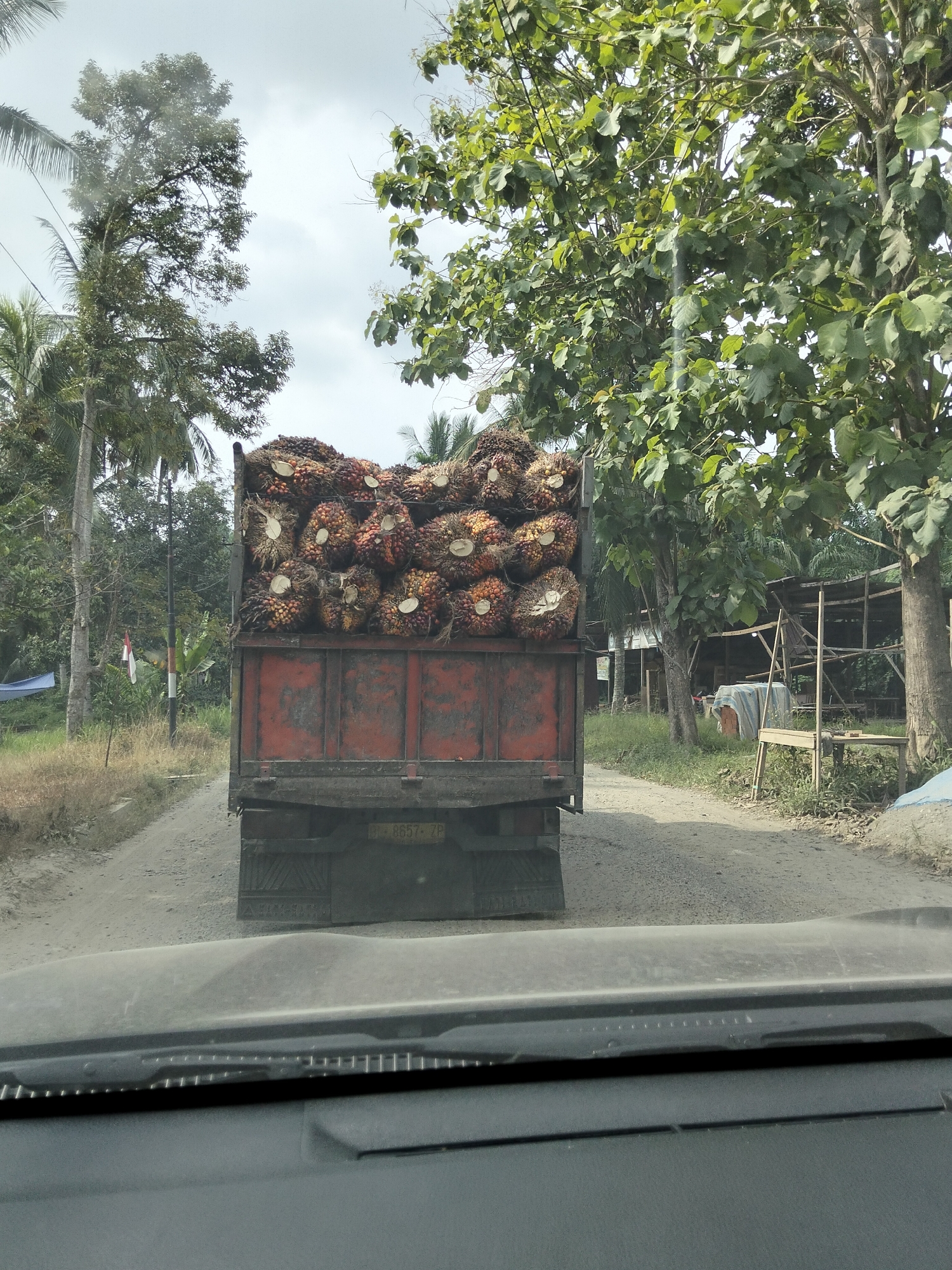 A red truck is filled with palm fruit bunches and is driving on a dirt road in Blang Mee, Indonesia. The truck is loaded with the fruit, which appears to be fresh and ready for transport. The truck is seen from behind, with the road stretching out in front of it. The area around the road is characterized by lush green vegetation, with palm trees and other tropical plants visible. The sky is overcast, with a few clouds scattered across it. A white and red flag is visible on a pole to the left of the truck. The scene is one of agricultural activity, with the truck likely heading to a processing plant or market.
