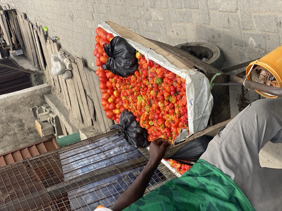 The image depicts an outdoor market scene in Ado, Nigeria. A wooden pushcart, lined with white material, serves as a display for fresh produce. The cart is filled predominantly with red, orange, and some green peppers, with a layer of red and yellow-orange tomatoes stacked above them. Two black plastic bags rest on top of the produce. A person is partially visible on the left, wearing a green patterned shirt and grey cargo trousers, with their right arm resting on the cart's wooden frame. An orange bucket, containing various items, hangs from the cart's front. The ground consists of grey interlocking pavers. In the background to the left, a metal grate structure encloses blue containers, situated next to a building wall. To the right, an elevated wooden walkway composed of planks extends into the distance, bordered by concrete blocks, stones, and discarded objects, including a green plastic bottle, against another building wall.