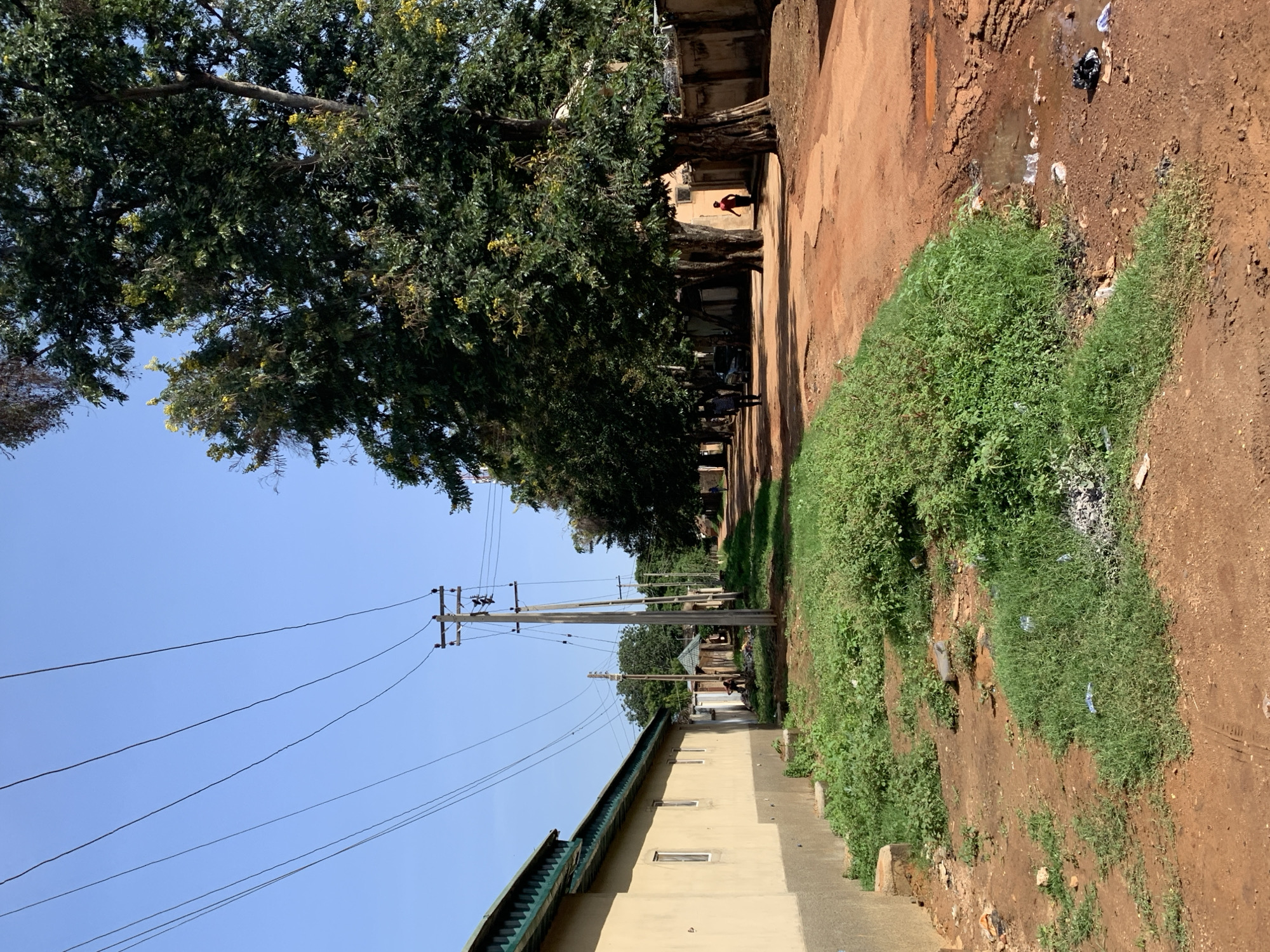 This image captures a bright, sunny outdoor scene, likely a street or pathway in a peri-urban or rural area of Nigeria. The perspective looks down a reddish-brown dirt path that stretches into the distance under a clear blue sky.
On the left side of the path, a row of large, mature trees with dense green foliage and hints of yellow blossoms provides shade. Simple, light-colored buildings with dark roofs are nestled beneath these trees. Several people are visible along this side, with one person in a red shirt standing clearly near a building and other figures further down the path. A modern, single-story building with a green roof is prominent in the bottom left foreground, its facade a light cream color with several windows. Utility poles with multiple power lines cut across the blue sky, running parallel to the path.
On the right side of the dirt path, an elevated bank is covered in vibrant green grass and weeds. The reddish-brown soil of the bank and path shows areas of unevenness and some litter, including plastic bags and other debris, particularly around a small puddle of water. One person in a patterned dress is visible walking on the dirt path on this side.
The time of day appears to be mid-morning or afternoon, characterized by bright sunlight and clear shadows cast by the trees and poles. There is no visible text in the image.
