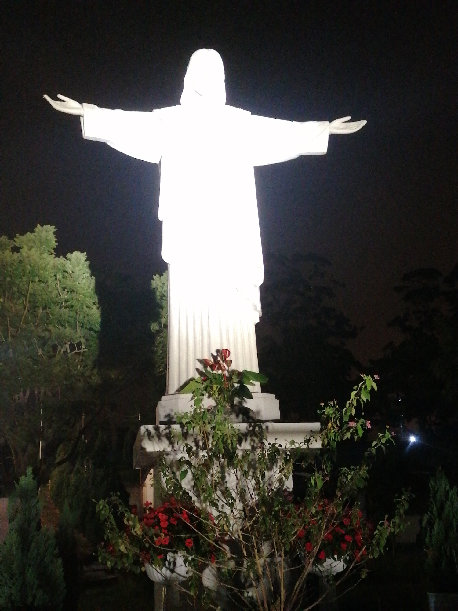 The image displays a brightly illuminated white statue of Jesus Christ at night, positioned against a dark sky. The statue, rendered in an all-white and seemingly featureless style, stands with its arms outstretched, conveying a gesture of welcome or blessing. It rests on a multi-tiered white pedestal.
The base of the statue and the surrounding foreground are adorned with various green foliage and flowering plants. Notable among these are vibrant red flowers arranged in planters directly at the statue's foot, along with other leafy green plants and some with lighter-colored blossoms. Small, conical evergreen trees are visible on either side in the foreground, contributing to a landscaped environment. The background is dominated by the darkness of the night sky, with silhouettes of trees suggesting a natural or park-like setting. A faint, bright circular light source, possibly the moon, can be seen in the distant upper right background.
The scene is static, depicting no active event. The time of day is clearly nighttime, emphasized by the stark contrast between the luminous statue and the deep shadows. The setting appears to be a peaceful, reverent outdoor space, consistent with a religious site or garden in Lạc Dương, Vietnam. There is no visible text in the image.