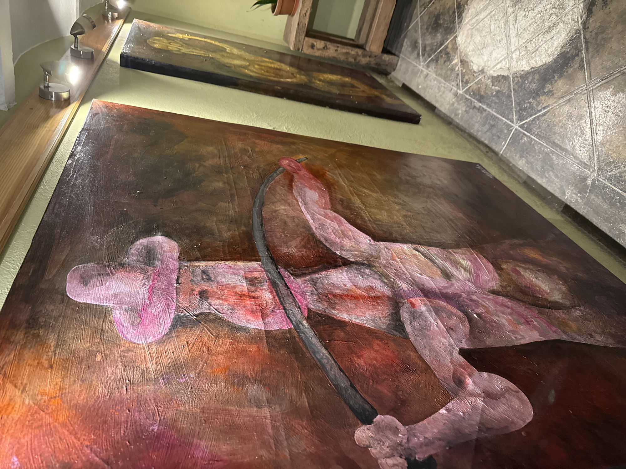 The image shows a close-up, angled view of two paintings displayed on a wall. The foremost painting is a figurative work depicting a nude, possibly male, figure rendered in shades of pink and red against a dark brown background. The figure appears to be holding a long, curved object that resembles a whip or a piece of machinery. Above this painting, partially visible, is another artwork with a golden, abstract design on a dark background. The wall on which the paintings are hung is light green. To the left of the paintings, a wooden panel with a row of small spotlights is visible. A tiled wall with a diamond pattern can be seen in the upper right corner. The photograph may have been taken indoors, possibly in a gallery or a private collection. Without further context, a specific location in Mexico City cannot be determined.