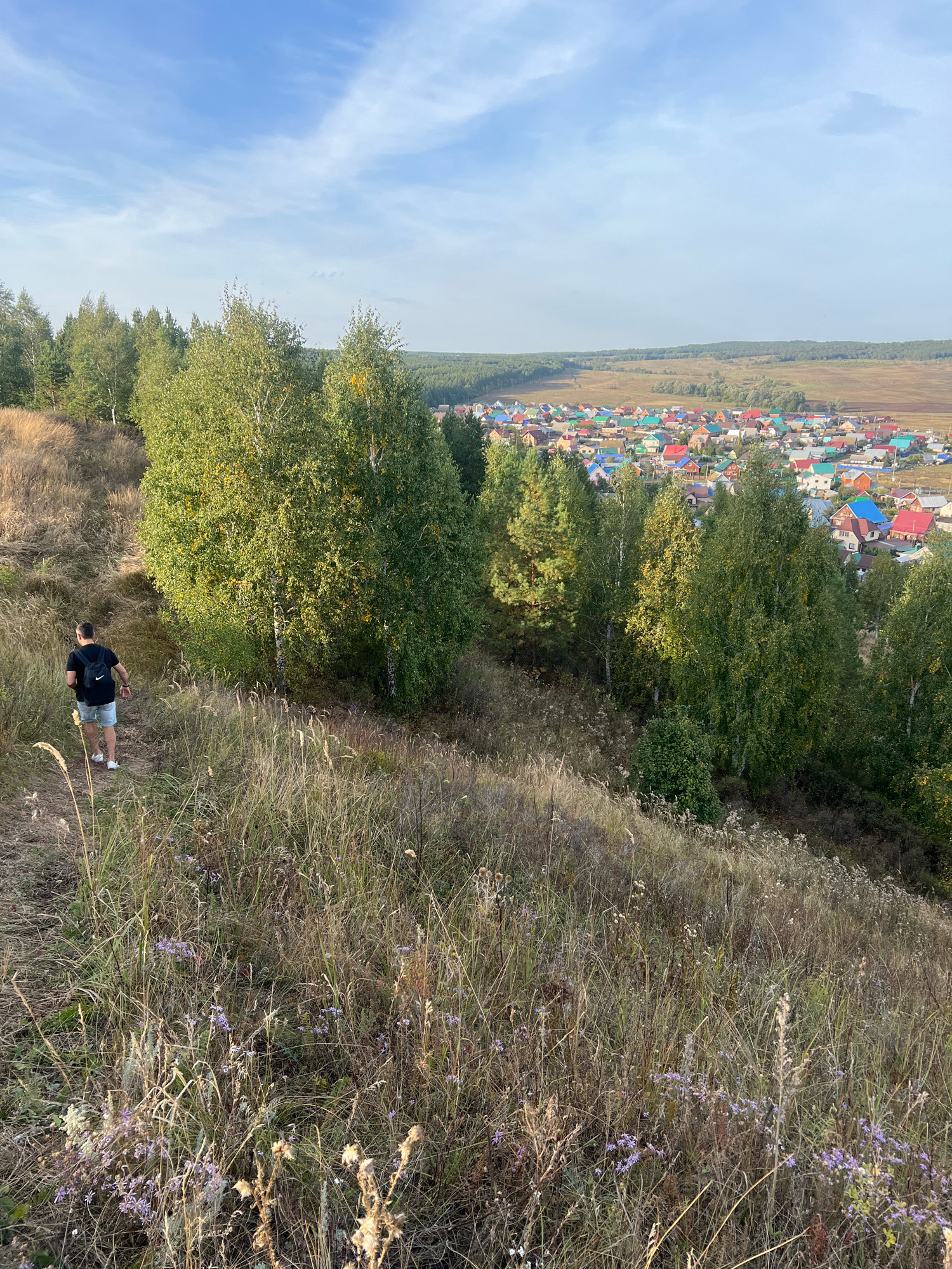 An outdoor, vertical, eye-level shot captures a hillside with a person walking down a dirt path. The person, a male with dark hair, is wearing a black t-shirt, blue shorts, and white sneakers, and carries a black backpack. He is walking away from the camera, down a grassy slope covered in dry weeds and a few small purple flowers. To the right of the path, several large birch and pine trees with green foliage are present. Beyond the trees, a village of colorful houses with red, blue, and green roofs is visible in the middle ground. The background consists of a flat, dry field and a treeline under a pale blue sky with sparse clouds. The scene appears to be in a rural area, possibly on the outskirts of the city of Ishimbay, Russia, given the distinctive architecture of the village houses.
