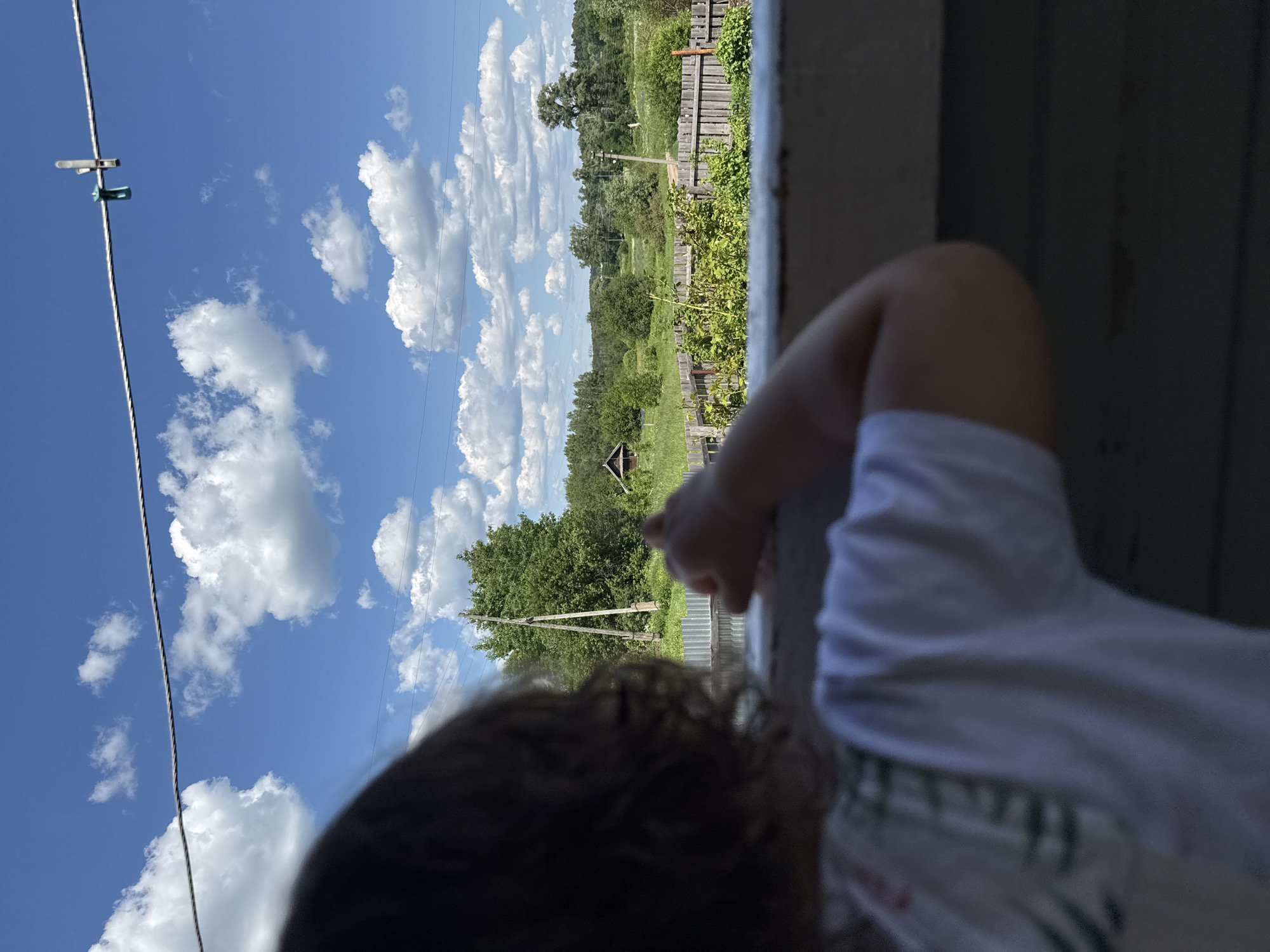 A child's curly dark hair and white t-shirt are visible in the foreground, obscuring their face as they lean forward, looking out at a rural landscape. Their right hand is raised and appears to be touching something out of frame. Beyond the child, a wooden fence encloses a grassy field dotted with trees and a small wooden building. A utility pole with wires stretches across the scene. The sky is bright blue with fluffy white clouds. A clothesline with two clothespins is strung across the top of the frame. The image appears to be taken from a porch or balcony.