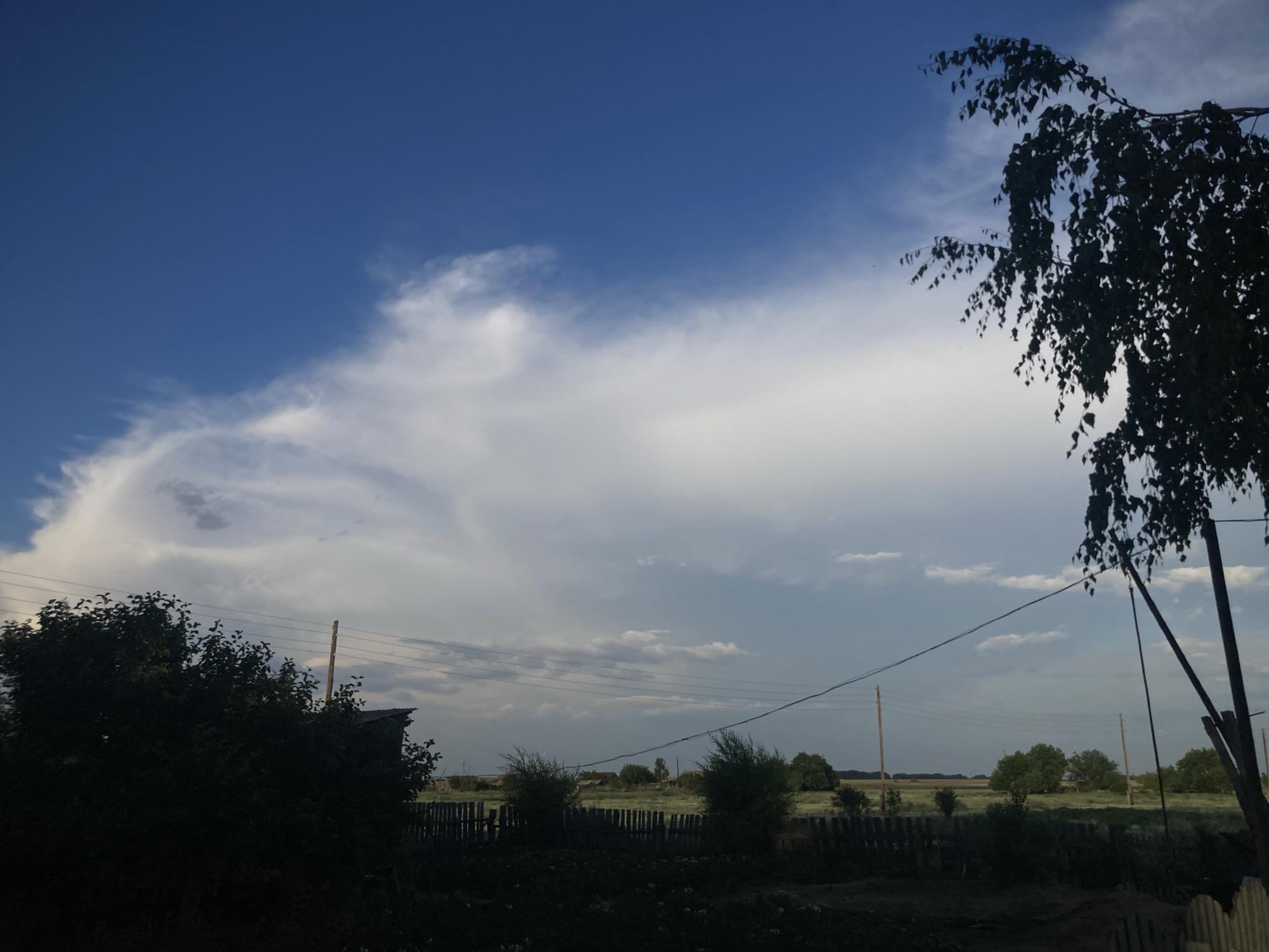 The image depicts a rural landscape, likely in the city of Rakity, Russia, under a dramatic sky. In the foreground, silhouetted against the lighter sky, is a dense cluster of dark green foliage. To the right, the upper branches of a large tree, also in silhouette, extend into the frame. A wooden fence runs horizontally across the middle ground, separating the dark foreground from a field beyond. In the field, several sparse, dark green bushes are visible, and in the distance, a line of trees and some buildings are faintly discernible. Power lines are strung across the scene, supported by wooden poles. The sky is a striking contrast of deep blue on the left, transitioning to a lighter, cloudy expanse with streaks of white and gray. The overall impression is one of a serene, possibly overcast, evening in a rural setting.