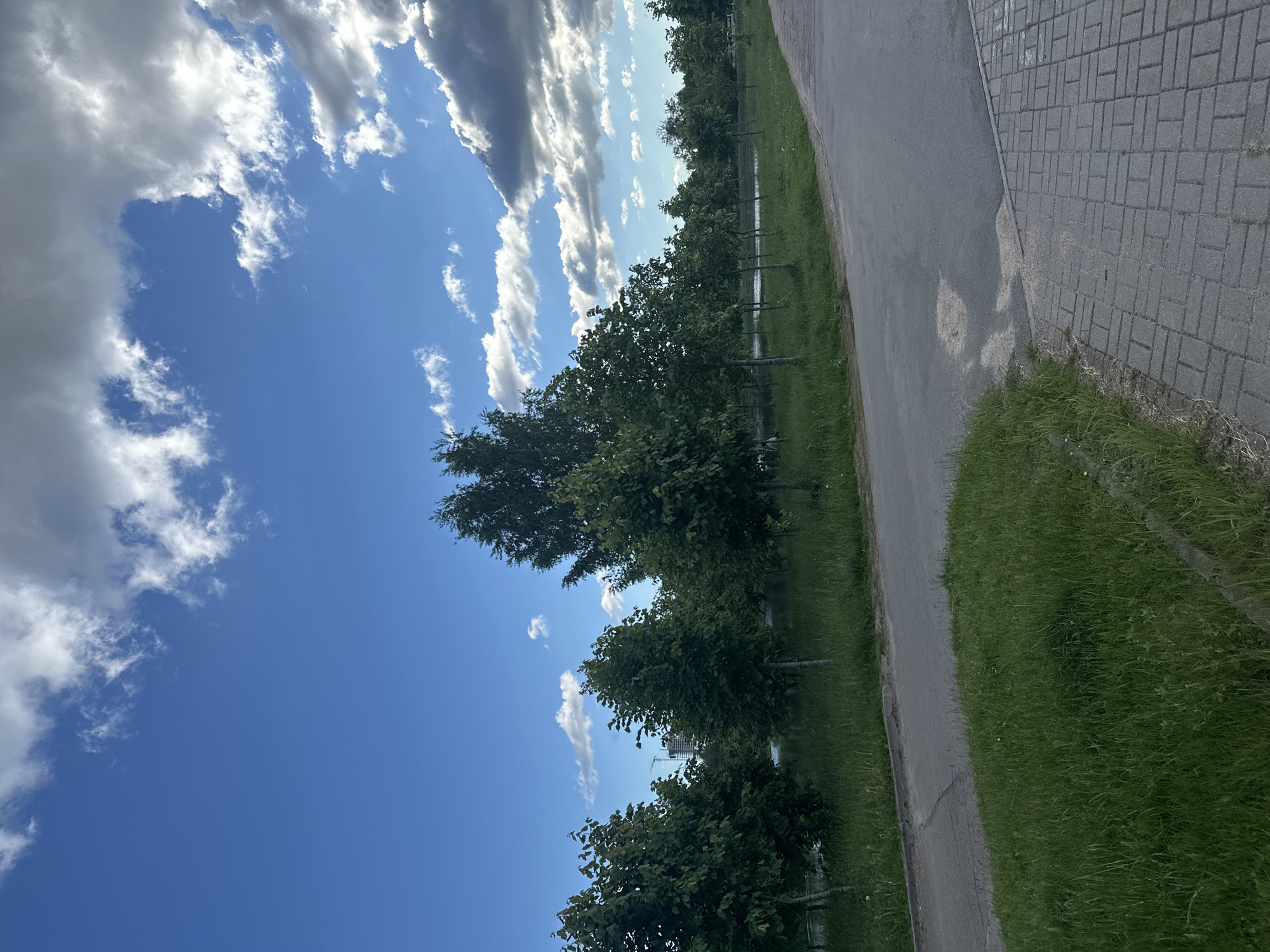The image depicts a view of the sky with cumulus clouds, transitioning to a bright blue sky. A row of trees lines a paved path with green grass growing alongside it. To the right of the paved path is a section of interlocking concrete pavers. The location appears to be in Minsk, Belarus. No people are visible in the image.