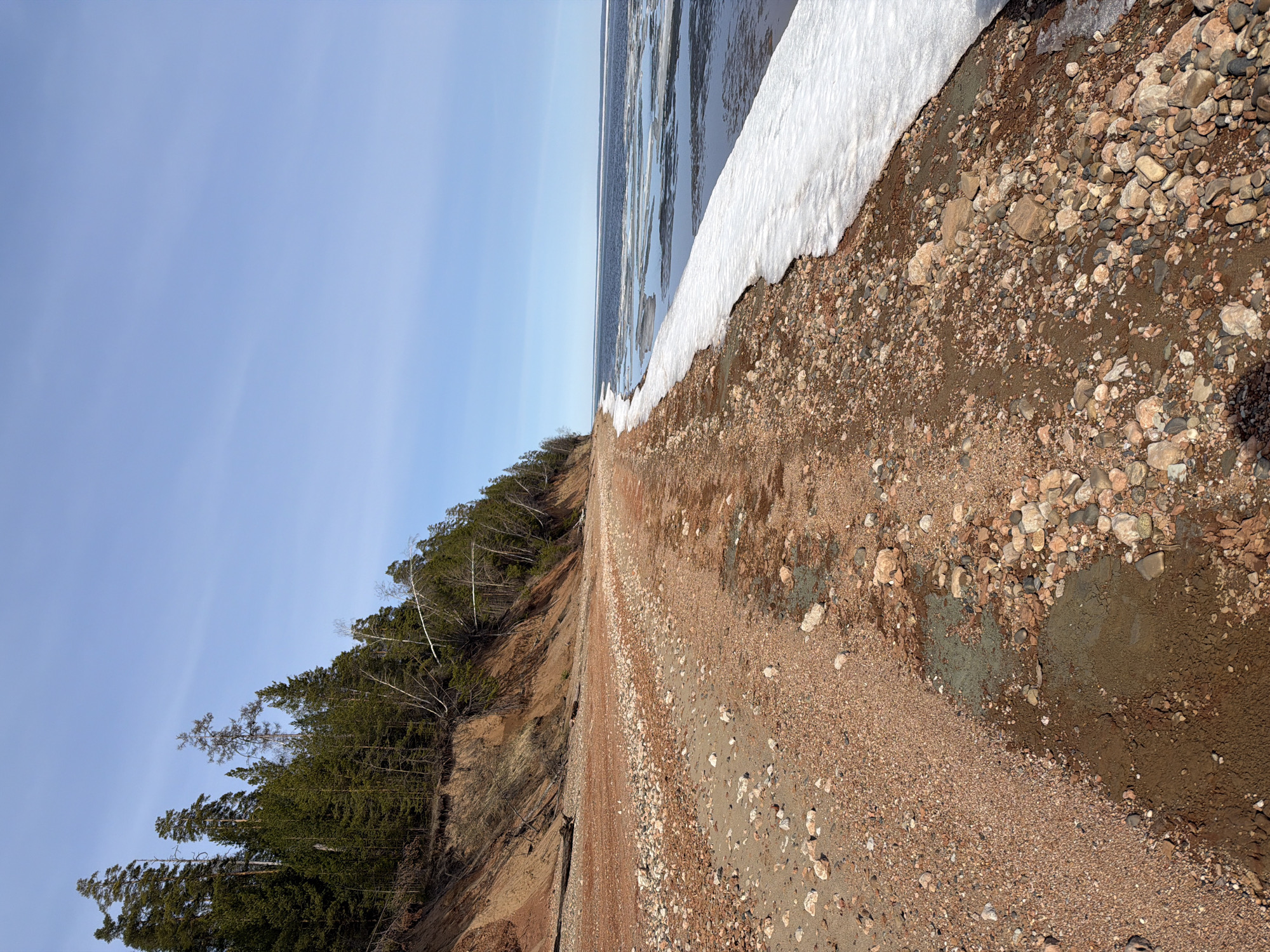 The image depicts a shoreline in Noviy, Russia. The scene shows a beach consisting of reddish-brown gravel and earth. A band of snow and ice stretches along the water's edge. The water itself contains floating ice fragments. A slope rises from the beach, covered with a mix of deciduous and evergreen trees. The sky is clear and blue. There are no people visible.