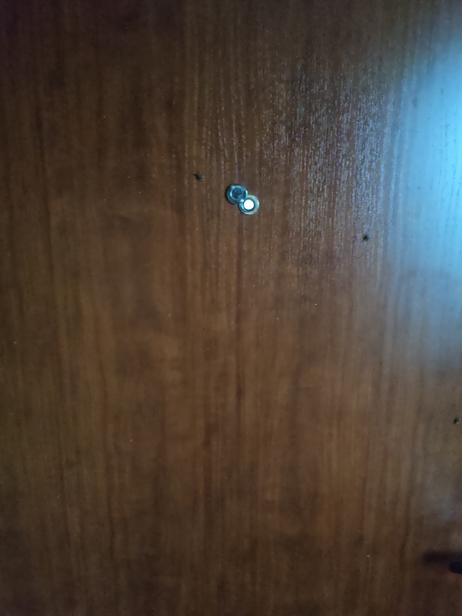 A close-up, low-angle, medium-shot photograph shows a wooden door with a peephole. The door is a medium brown color and has a wood grain pattern running vertically. The peephole is a circular metal fixture with a reflective lens, located in the upper left quadrant of the image. There are two small, dark specks on the door's surface near the peephole, which may be dust or imperfections. A bright light source is reflecting on the right side of the door, casting a blue-white glare. The scene appears to be indoors, given the context of a wooden door. The image quality is fair, with some graininess and slight blur. There is no identifiable information about the city of Platoshino, Russia, within the image itself.