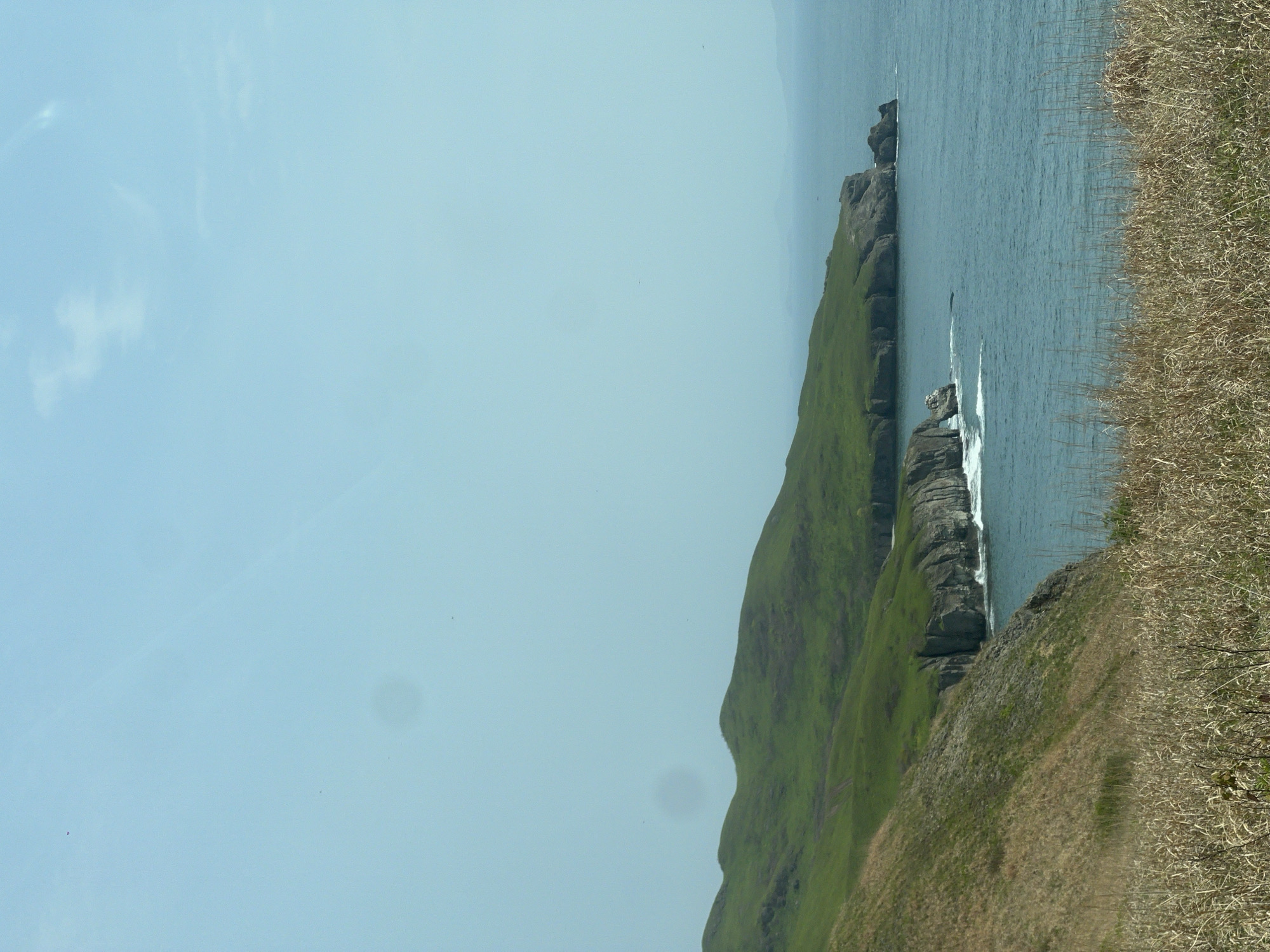 A landscape photograph depicts a coastal scene, possibly taken in Slavyanka, Russia. The composition is vertically oriented.
On the right side of the frame is a rocky, grassy cliff descending into the sea. The cliff is covered in green vegetation near the top, transitioning to a dry, brown grass closer to the foreground. Adjacent to the cliff is the ocean, its surface rippled and calm. A few rock formations jut out from the water near the cliff.
The left side of the image is filled with a clear blue sky. Overall, the scene conveys a sense of a remote, natural coastal environment.
