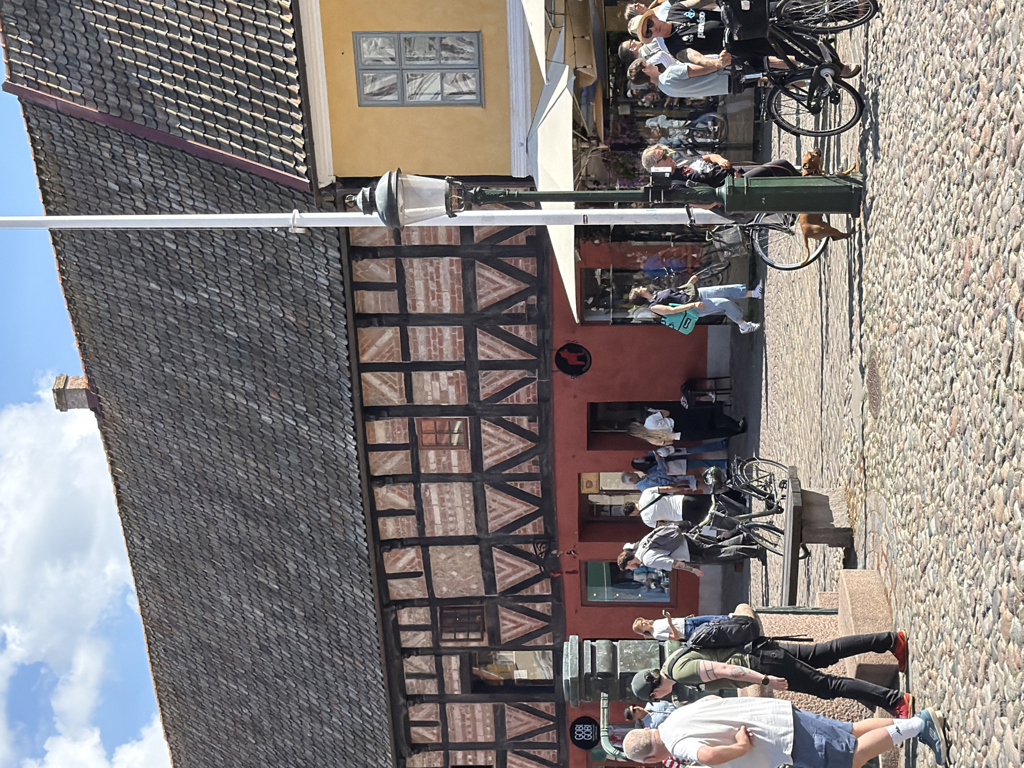 This image depicts a street scene in Malmö, Sweden, likely in the Lilla Torg area, characterized by its historic architecture and cobblestone pavement. The background features traditional half-timbered buildings with red plaster and dark wooden beams, alongside a yellow building with a distinct window. A white flagpole stands prominently in the center.
Numerous people are present, engaged in various activities. Several individuals are walking, some are standing and conversing, while others are near parked bicycles. A dog is visible, walking near a lamppost. The atmosphere appears to be that of a bustling public square or marketplace on a sunny day, with people enjoying the outdoor environment. Several shops are visible along the street.