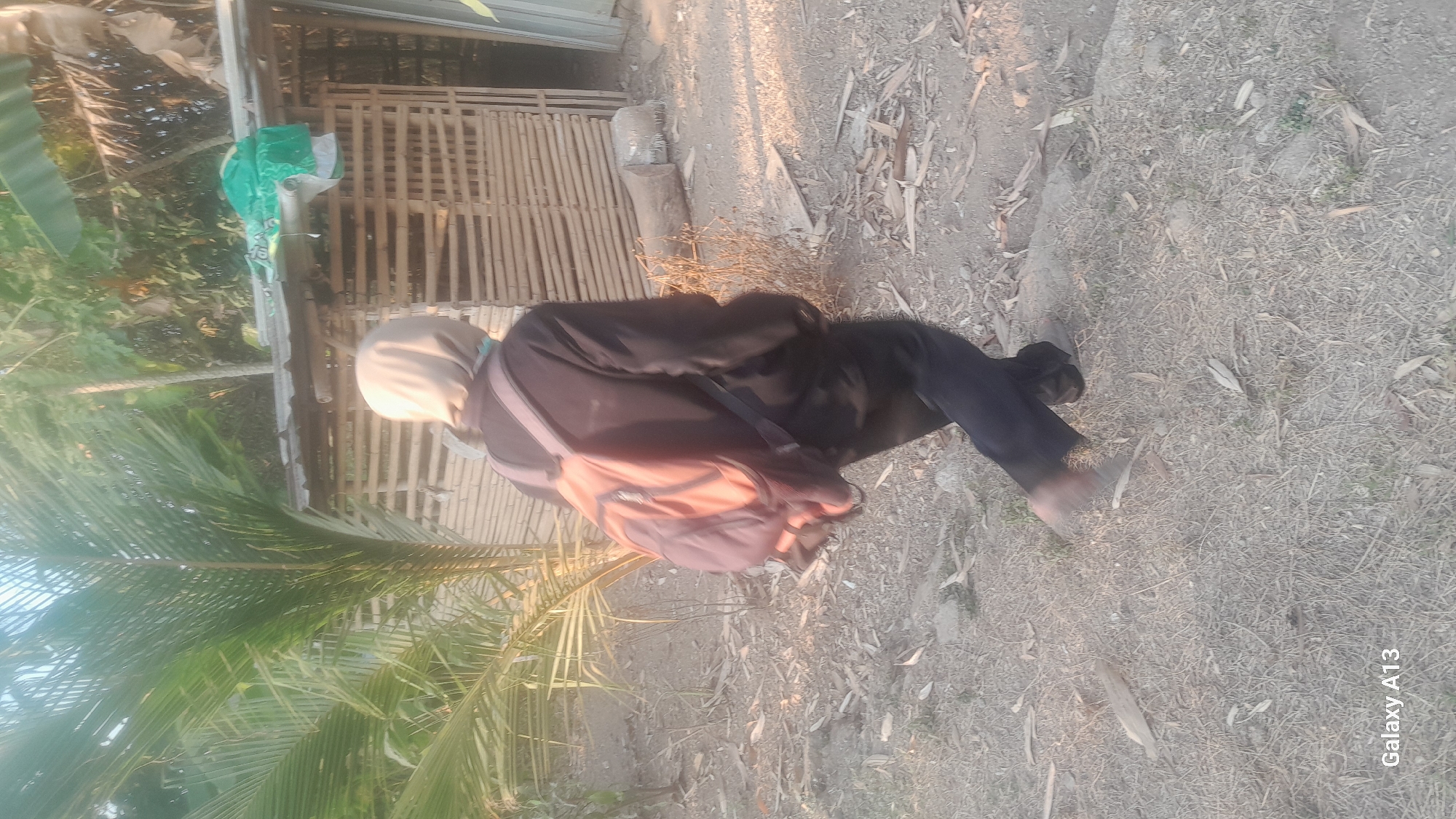 A person wearing a light-colored hijab and a dark jacket is walking away from the camera, carrying a backpack. The backpack is orange and dark gray. The person is wearing dark pants and dark shoes. They are walking on a dirt path with dry leaves and some small plants. In the background, there is a small structure made of bamboo with a corrugated metal roof. Green plastic sheeting is draped over the roof. To the left of the structure, there is a large palm tree with prominent fronds. The environment appears to be rural, possibly in Hadipolo, Indonesia, given the architectural style and vegetation. The lighting suggests it is daytime, likely late afternoon due to the warm, soft light.
