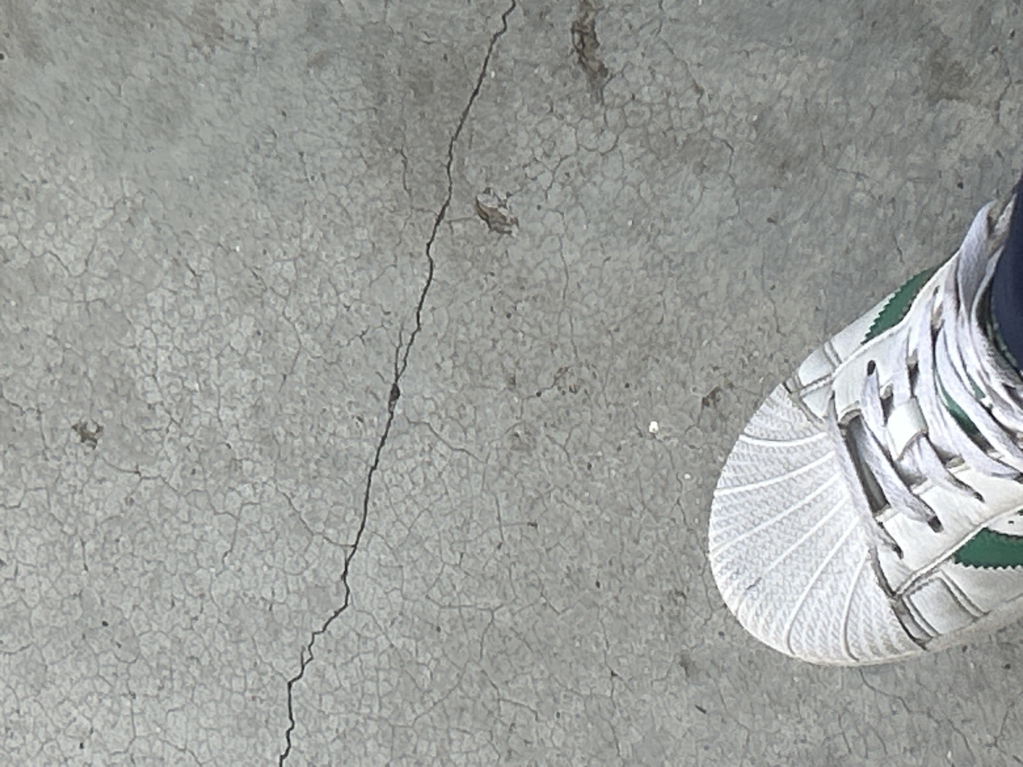 A person's foot, clad in a white sneaker with green accents and white laces, is visible in the bottom left of the frame, stepping onto a cracked concrete surface. The concrete exhibits a network of fine fissures and some larger cracks, with scattered debris. The scene appears to be an outdoor environment in Santa Ana, Venezuela, characterized by the worn texture of the ground.
