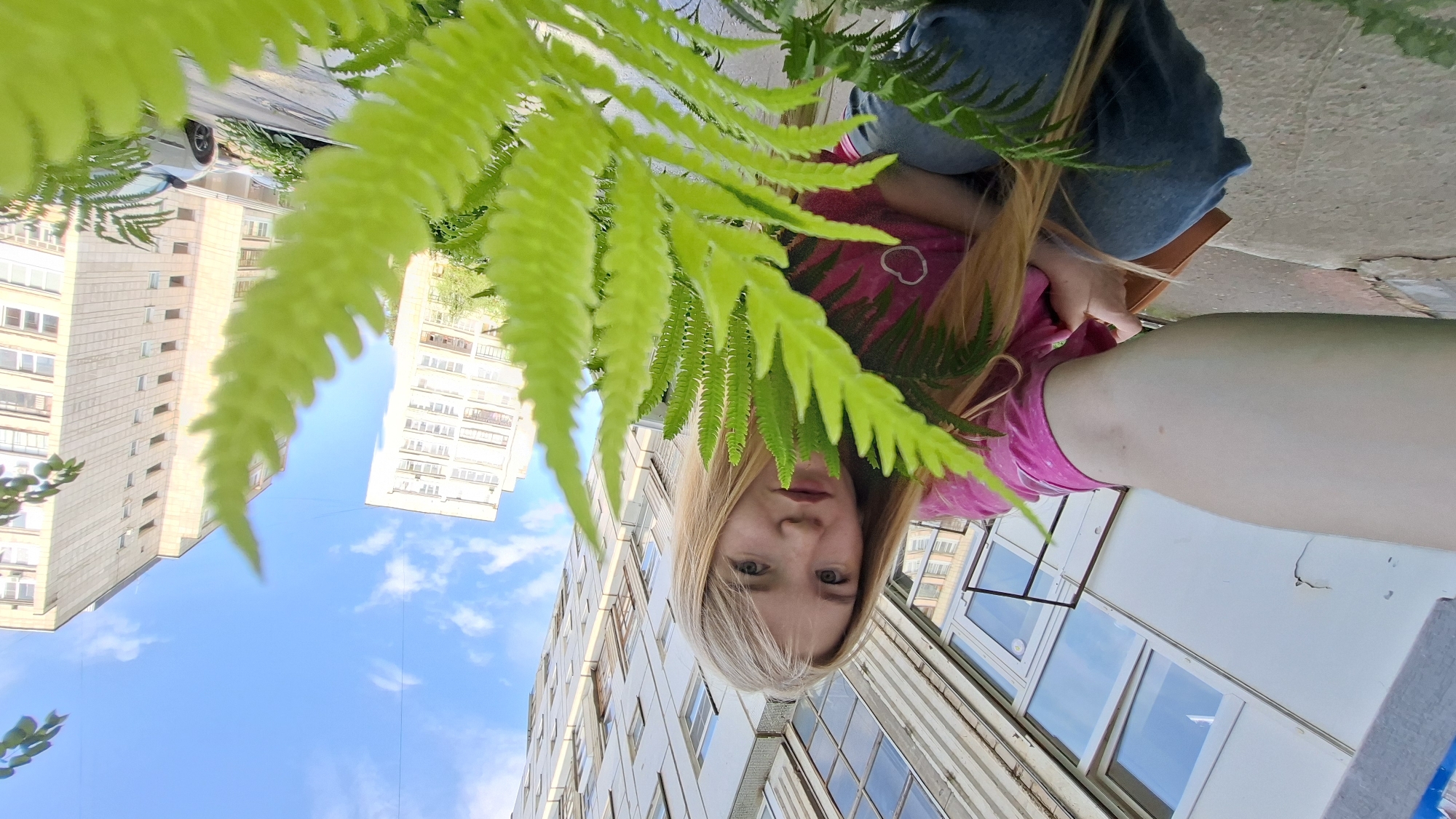 A young woman with blonde hair and blue eyes is captured in an outdoor, slightly tilted selfie. She is wearing a pink t-shirt with a white design and blue jeans. Her head is angled towards the camera, with a neutral expression. In the foreground, vibrant green fern fronds partially obscure her face and the surrounding environment.
The background reveals a city scene with tall, multi-story apartment buildings and a bright blue sky with scattered clouds, suggesting it is daytime. The buildings appear to be residential, with numerous windows visible. The ground beneath is paved, possibly a sidewalk or courtyard. The orientation of the image is unusual, with the subjects appearing upside down relative to the buildings and sky.
The overall impression is a casual, personal moment captured outdoors, possibly in a courtyard or balcony area of an apartment complex. The lush greenery contrasts with the urban architecture. No visible text is present in the image.
