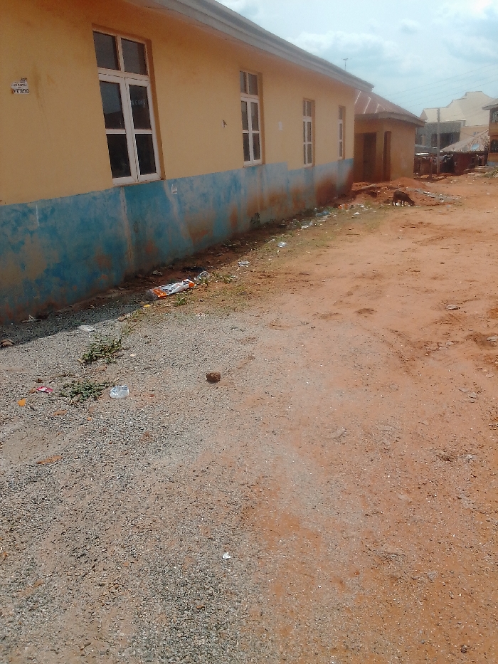 The image shows a dirt road in front of a single-story building with a light yellow exterior and a blue horizontal stripe along the bottom of the wall. The building has several windows, some with white frames. The road has gravel and dirt and is littered with trash. A single dog is walking away from the building. There is a large amount of debris in the area, including plastic and food wrappers. The scene is located in Auchi, Nigeria, at the coordinates latitude 7.05, longitude 6.263.