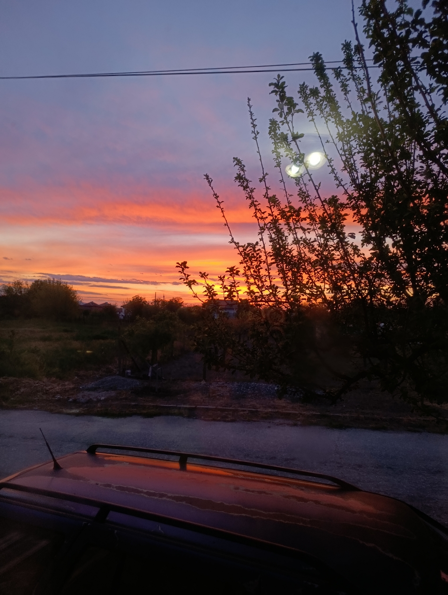 The image depicts a vibrant sunset over a landscape in Generalovo, Bulgaria. The sky transitions from deep blue at the top to shades of purple, pink, and orange closer to the horizon. A silhouetted tree with sparse leaves is positioned on the right side of the frame. In the background, there are hints of buildings, trees, and a field. The roof of a dark-colored car with roof racks is visible in the foreground, reflecting the colors of the sunset. There are also two power lines going across the sky at the top of the frame. The lighting suggests it is either very early morning or early evening. The scene is still and tranquil, with no people visible.