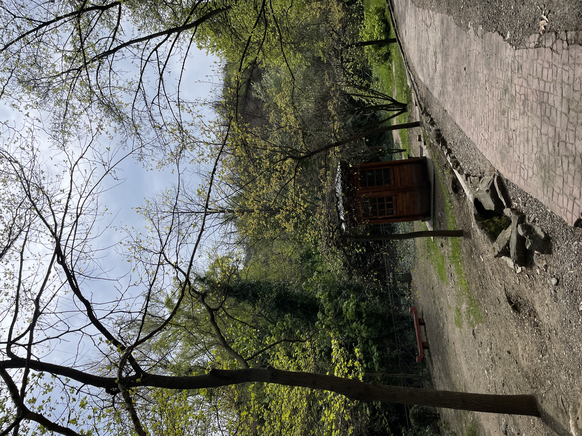 The image captures a tranquil scene in Tbilisi, Georgia. A wooden structure, resembling a small cabin, stands amidst a lush, green environment. The cabin has visible window panes and is situated near a pathway constructed from red brickwork. The path borders a dirt trail lined with small rocks and vegetation. A wooden bench is positioned nearby. The scene is surrounded by trees, some with visible foliage and others with bare branches, indicating the presence of early spring. The sky is visible through the branches, revealing a partly cloudy atmosphere. The perspective of the image is tilted.