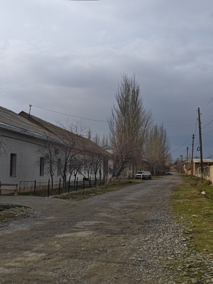 A desolate village street under a gray sky. Buildings line either side of the road, one long, pale structure with a corrugated metal roof and a dark fence. Bare trees punctuate the scene, their tall, thin shapes adding to the somber mood. A car is parked along the street, and power lines stretch across the sky. The road itself is rough and unpaved, reflecting the muted colors of the day.