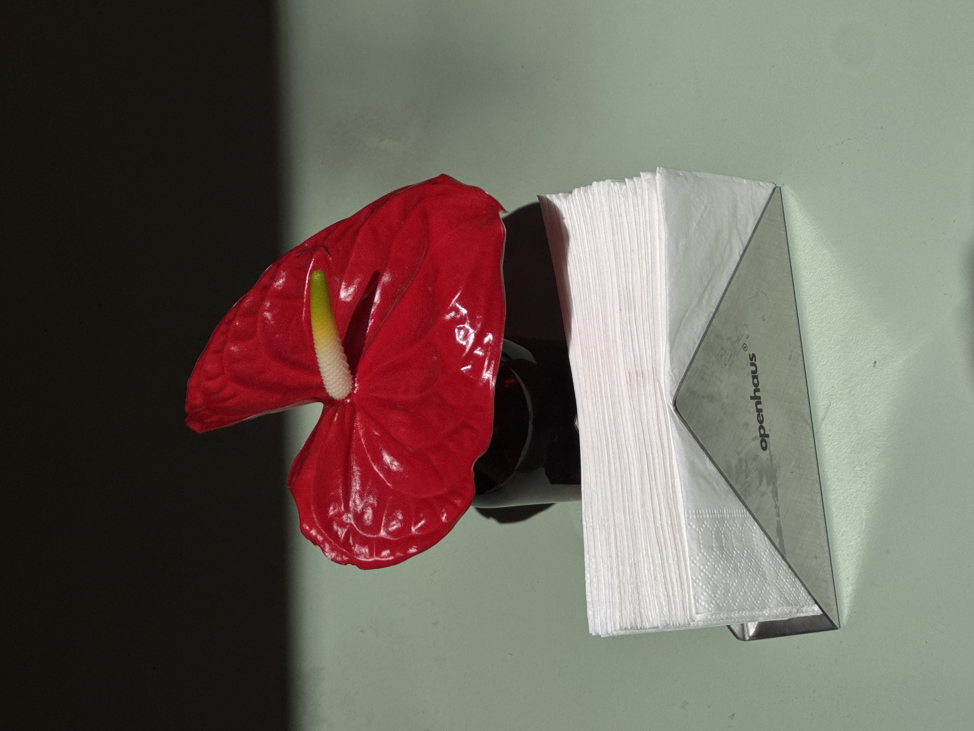 The image shows a close-up of a red Anthurium flower placed next to a napkin holder labeled "openhaus." The background consists of a wall that transitions from dark shadow to a light green color. The scene appears to be indoors. There are no people visible in the image. The location of Yerevan, Armenia is not evident from the image.