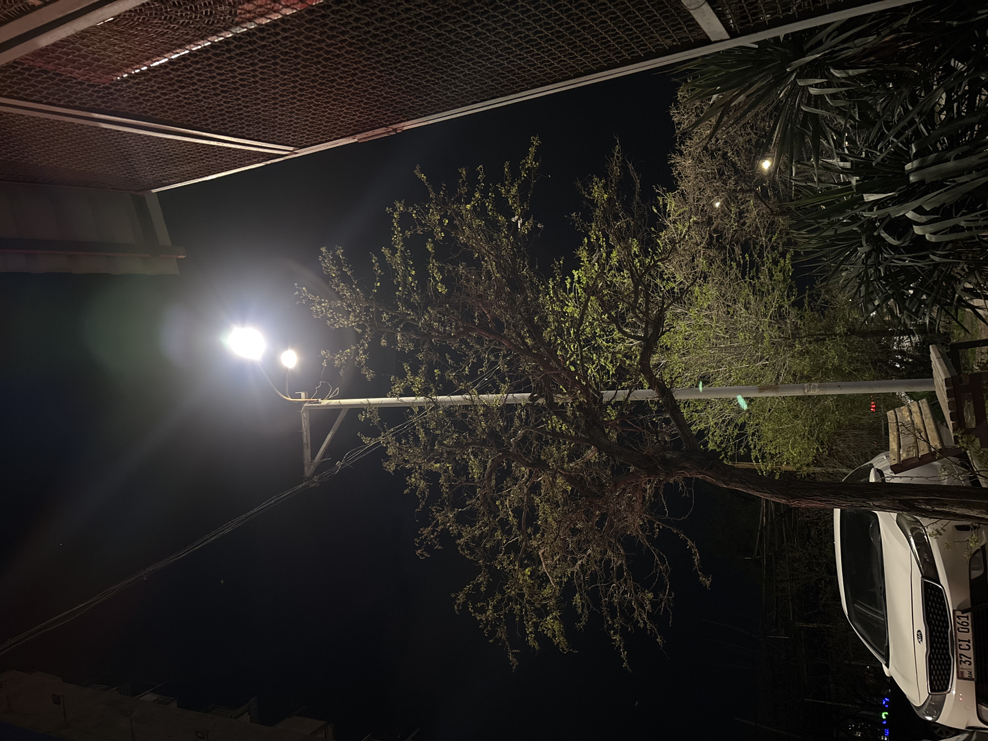 The image depicts an urban night scene, likely in Yerevan, Armenia, as suggested by the car's license plate. A streetlamp illuminates a sparsely foliated tree, casting light on a parked white car. Overhead, a metal grid structure is visible. Electrical wires stretch from the streetlight. Other trees are present in the background.