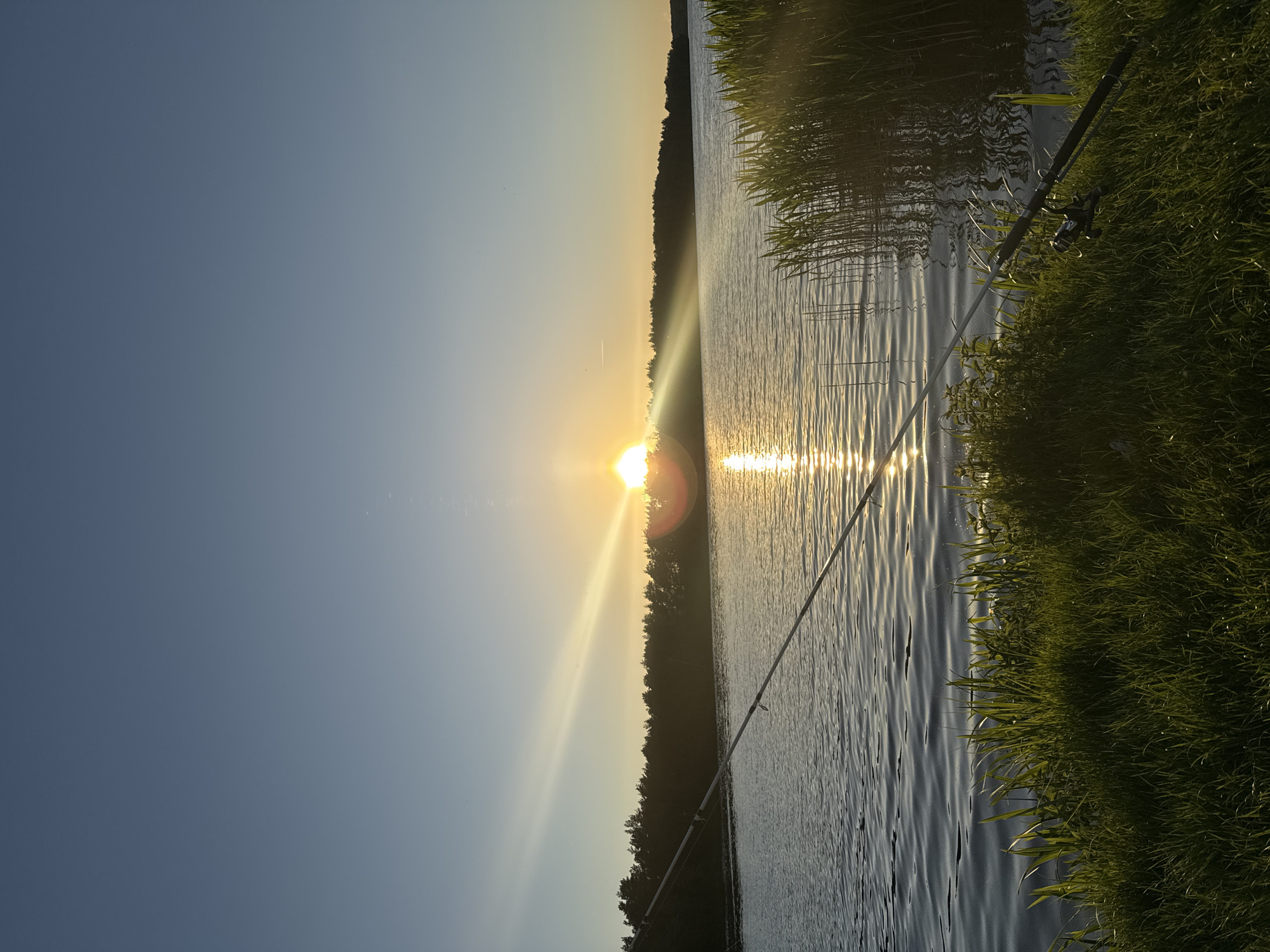 The image captures a sunset scene at a body of water in Абухаўскі сельскі Савет, Belarus. The sun, positioned near the horizon, casts a bright glow and reflection across the water surface. A dark treeline is visible in the distance along the horizon. The foreground features tall grasses and a fishing rod extending into the water. The sky transitions from a deep blue to a lighter, golden hue near the horizon.