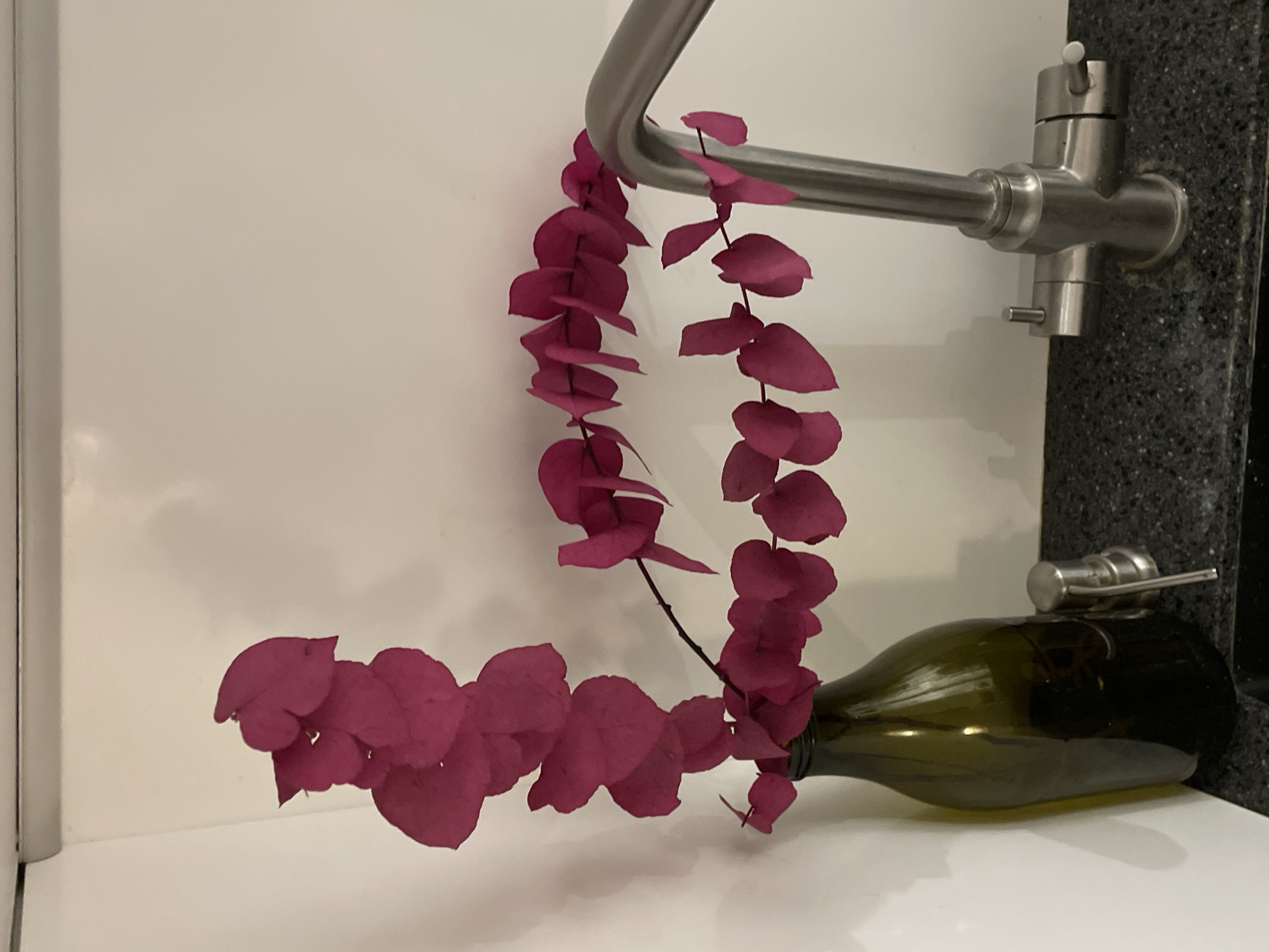 In Khimki, Russia, a dark green glass bottle containing a branch of artificial pink eucalyptus leaves stands on a speckled black countertop. To the right of the bottle, a silver faucet is visible, with its spout curving upwards. A silver soap dispenser is positioned behind the bottle. The background consists of a plain white wall, with a subtle shadow cast by the eucalyptus branch.