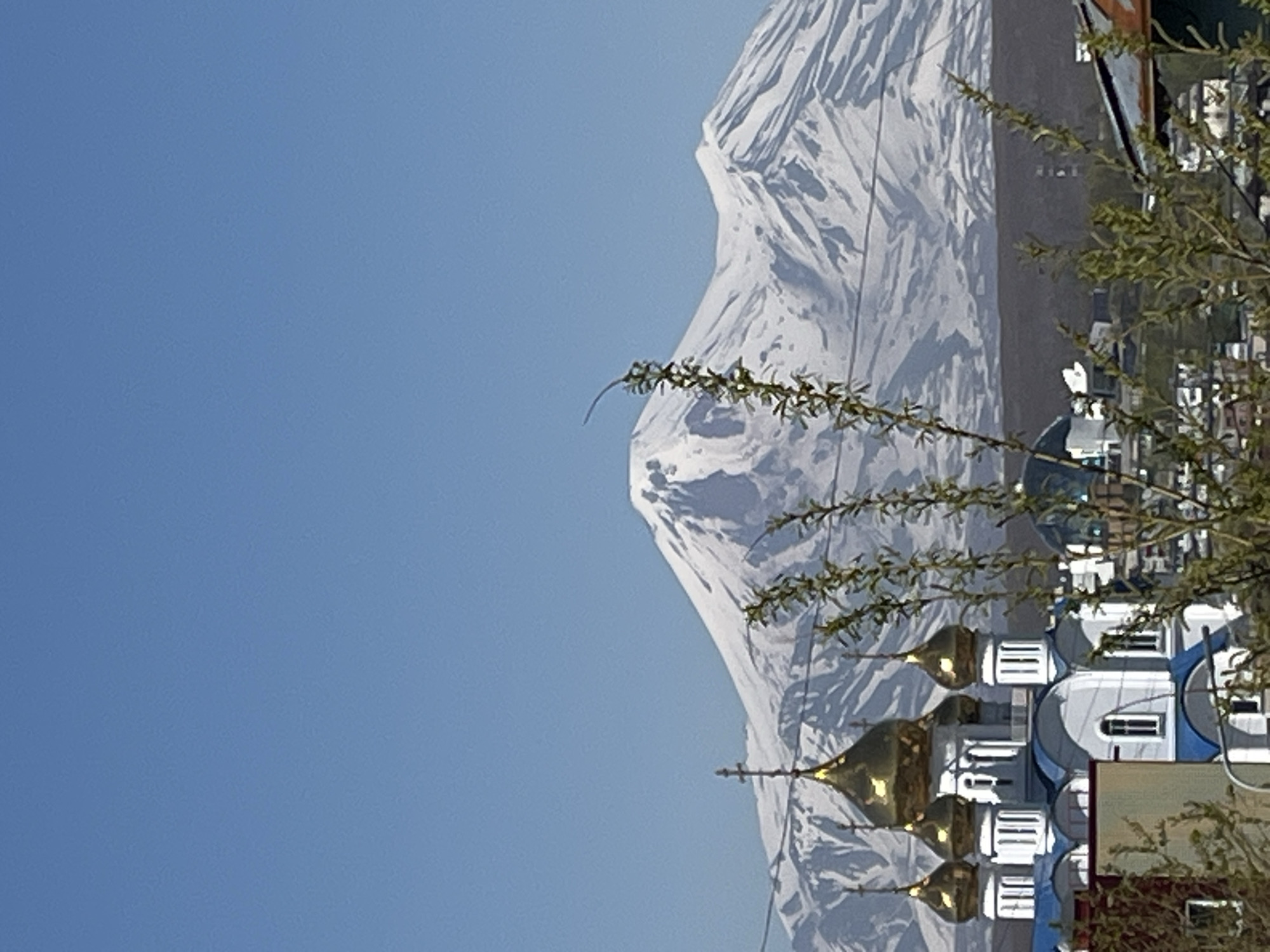 The image captures a panoramic view in Petropavlovsk-Kamchatsky, Russia, under a clear blue sky. In the mid-ground, the Cathedral of the Holy Trinity (Svyato-Troitskiy Kafedral'nyy Sobor) is prominently featured, characterized by its white facade, blue roof elements, and five golden onion domes, each surmounted by an Orthodox cross. The domes reflect sunlight, appearing bright. Below the church, parts of a cityscape with various buildings and infrastructure are visible.
Dominating the background are two massive, snow-capped stratovolcanoes: Koryaksky and Avachinsky. Koryaksky, the taller and more conical peak, is situated to the left, while Avachinsky, a broader volcanic complex, is to its right. Both mountains display distinct ridges and valleys carved by snow and ice. The horizon line beneath the mountains appears dark, contrasting with the snow. In the immediate foreground, out-of-focus branches with small green leaves partially obscure the lower portion of the scene, suggesting early spring or summer. Power lines are faintly visible spanning across the mid-ground, intersecting the lower slopes of the mountains and the sky. No individuals are depicted.