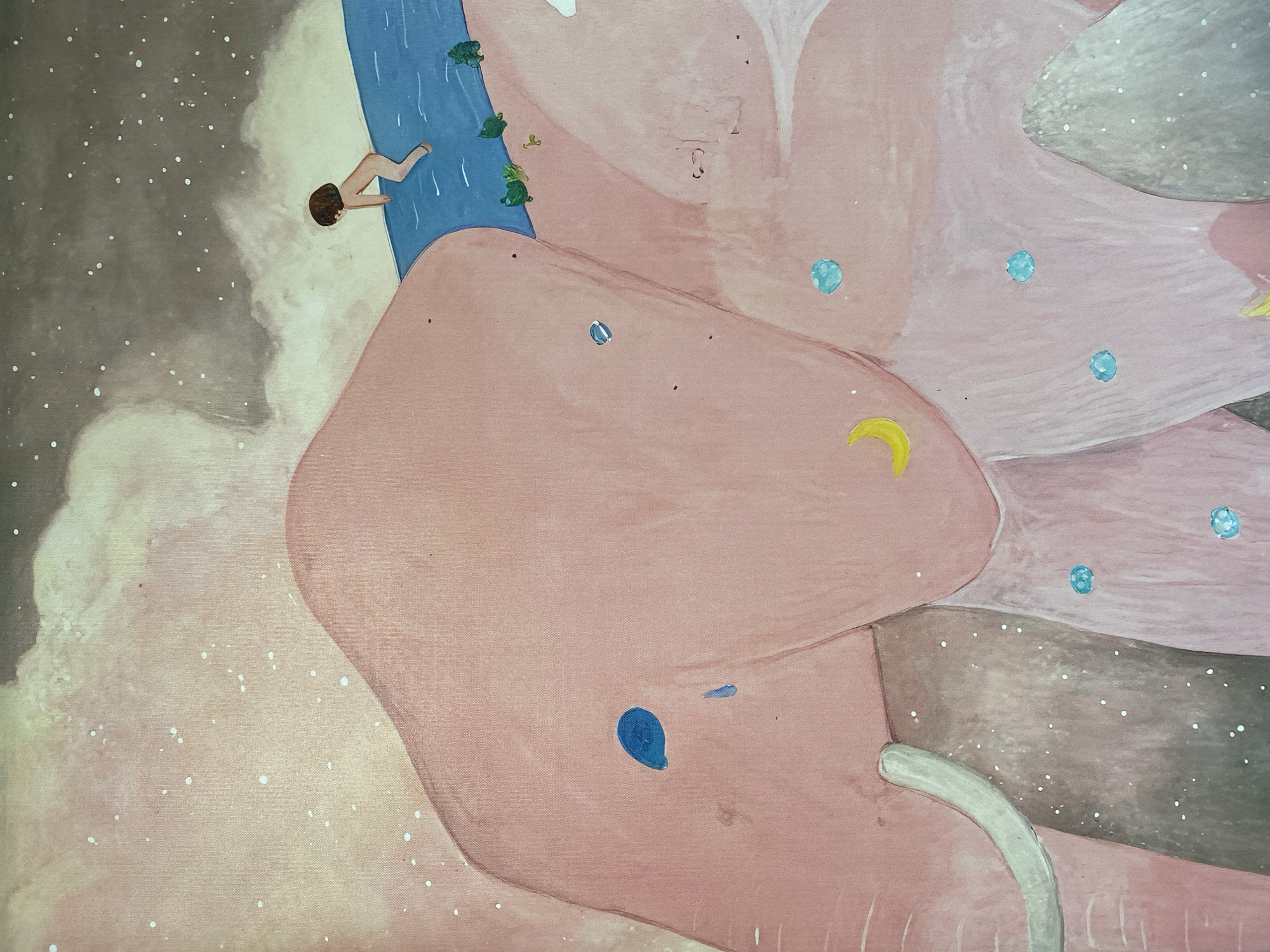 This is a close-up, cropped image of a painting with a surreal, dreamlike aesthetic. The primary subject appears to be a large, pink, organic form that dominates the composition, suggesting a body or a landscape. A small human figure, depicted in profile with brown hair and light skin, is shown falling or swimming into a body of blue water on the left side of the frame. The water has a slightly textured appearance and is dotted with small green leaf-like shapes.
The background on the left is a dark, cloudy sky filled with numerous white dots, resembling stars or dust particles. This contrasts with the softer, lighter pink and beige tones of the main organic form. Scattered across this pink expanse are small, abstract blue and yellow shapes, resembling planets or celestial bodies. There are also small, dark specks that could be additional stars or imperfections.
One notable detail is a crescent moon shape in yellow, located on the pink form. In the lower part of the image, a light grey, curved tube-like object emerges from the pink mass. The overall mood is enigmatic and otherworldly, with a sense of movement and perhaps vulnerability suggested by the falling figure. There is no visible text in the image. The style is painterly, with visible brushstrokes and a soft, blended color palette. The scene evokes a dreamscape, possibly set in space or an abstract realm.